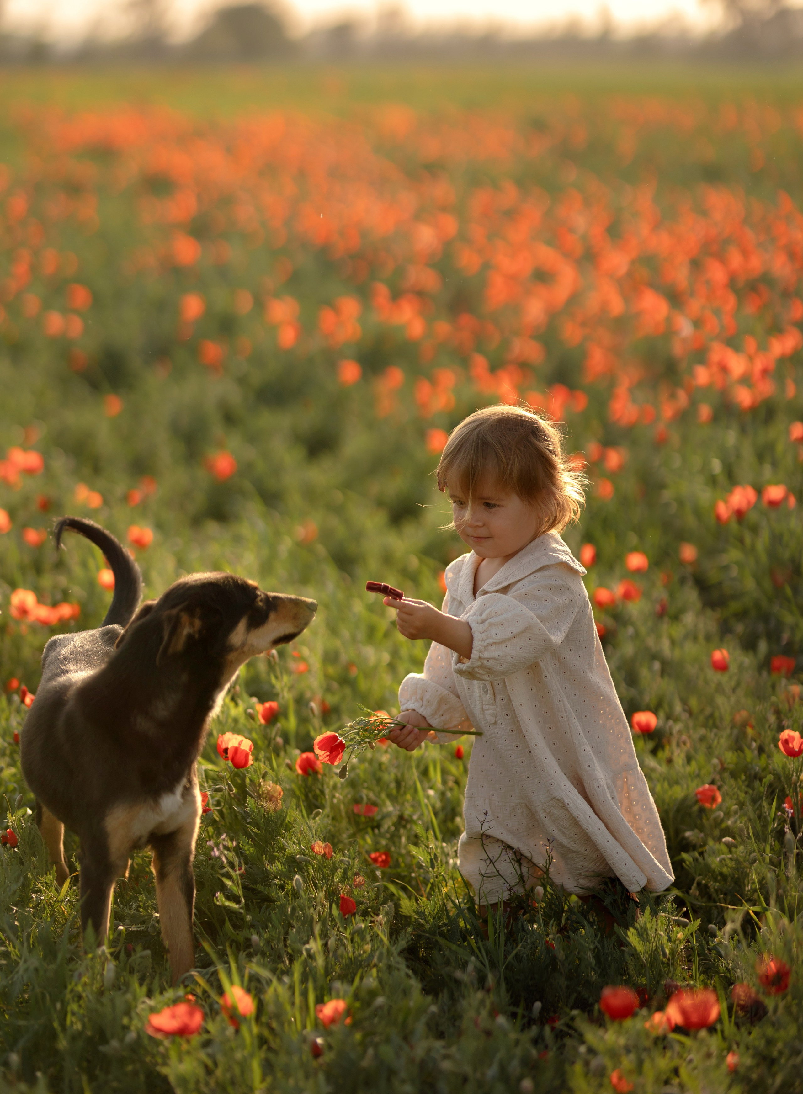 Стоимость. Фотограф Алматы Ким Екатерина