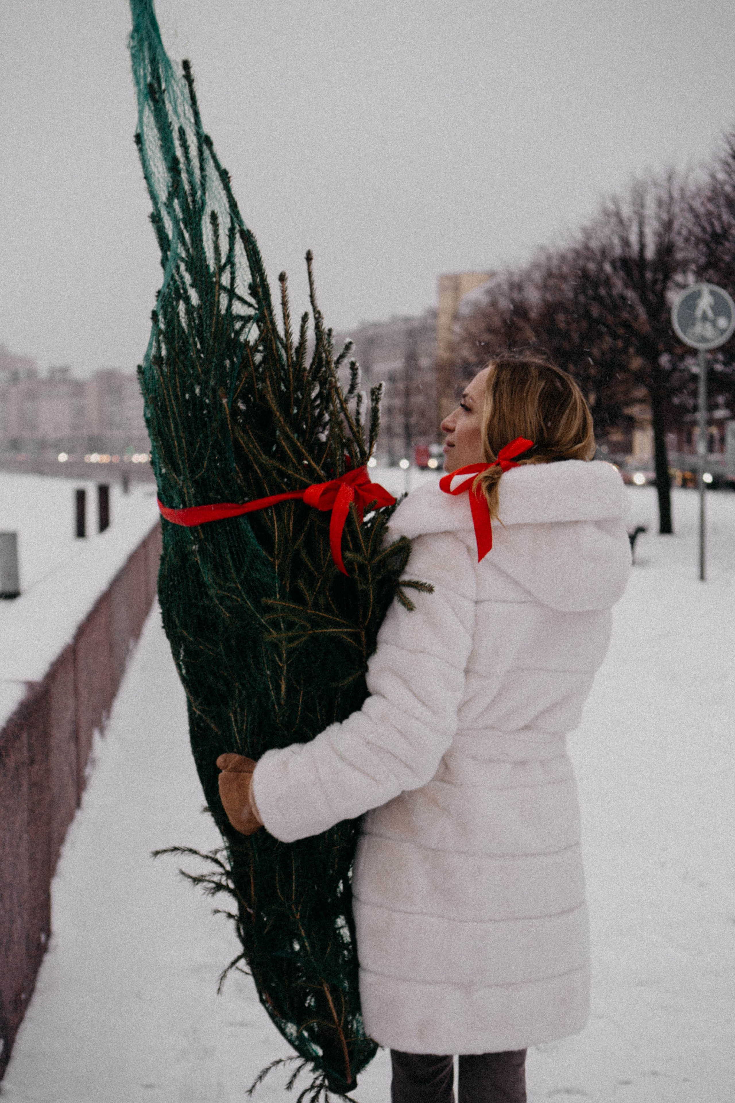 Новогодняя. Профессиональный фотограф, Санкт-Петербург — Виктория Богомолова