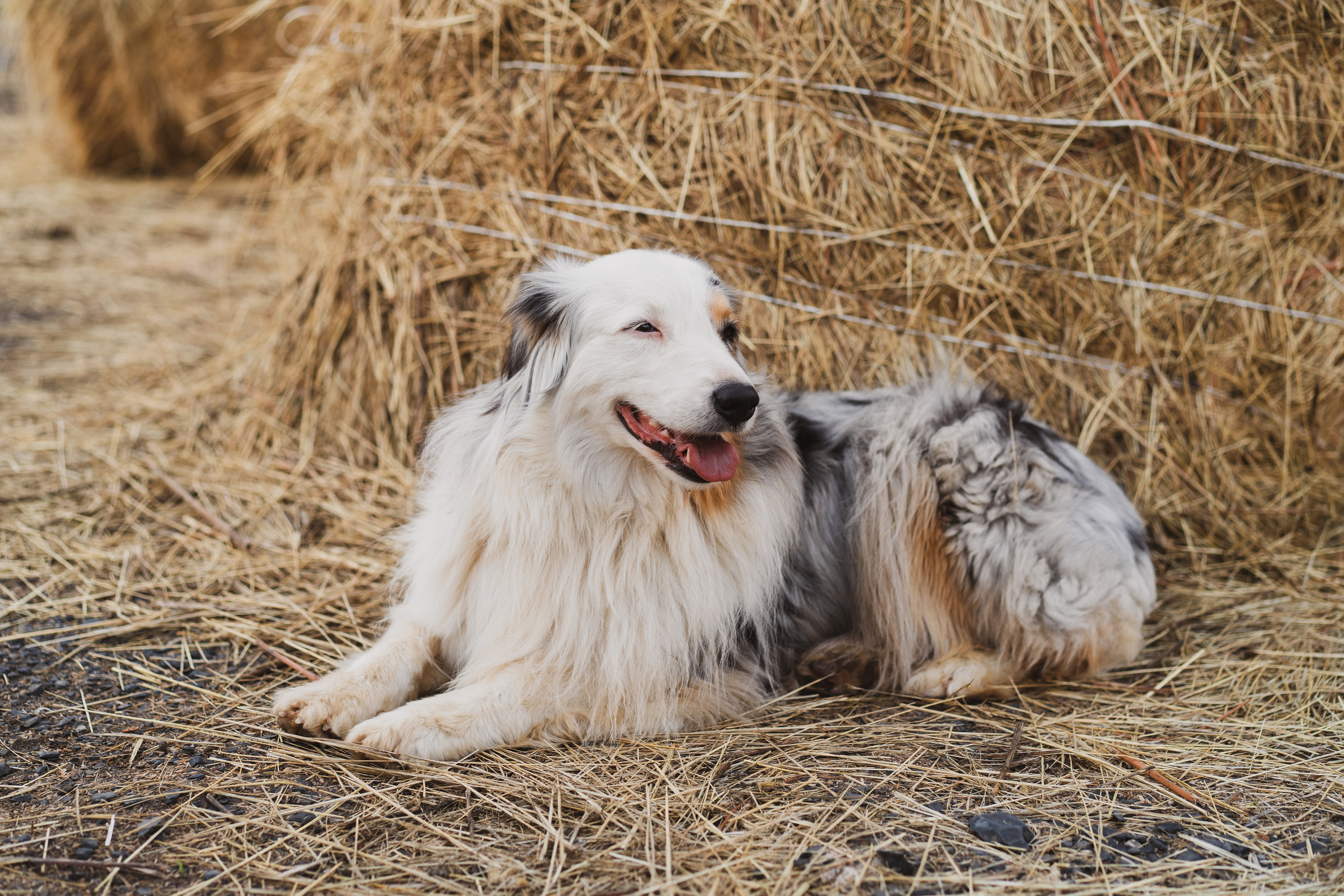 Кристина, Таня и Маруся. Семейный lifestyle фотограф в Ростове-на-Дону