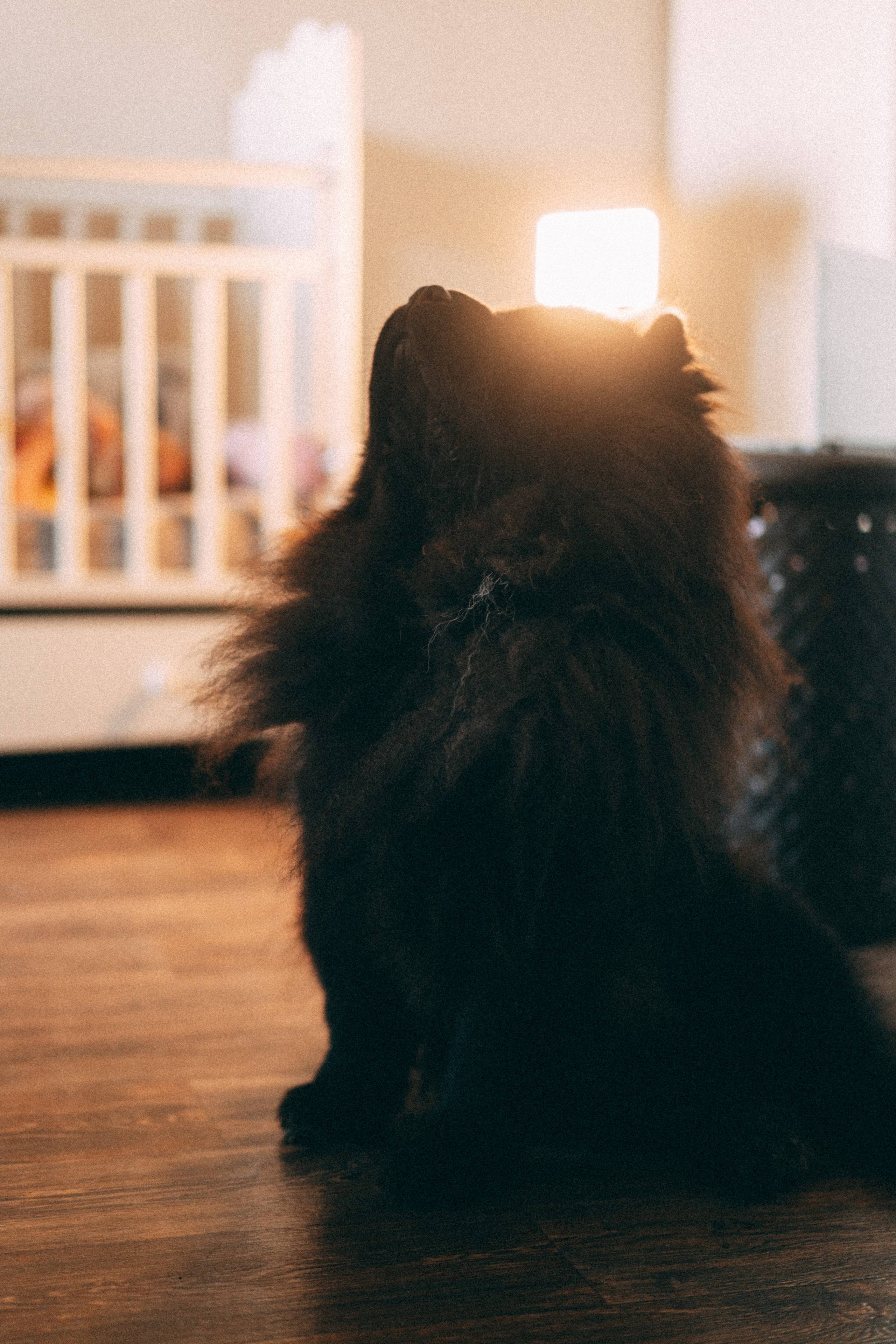 Семейное счастье Алины. Семейный lifestyle фотограф в Ростове-на-Дону