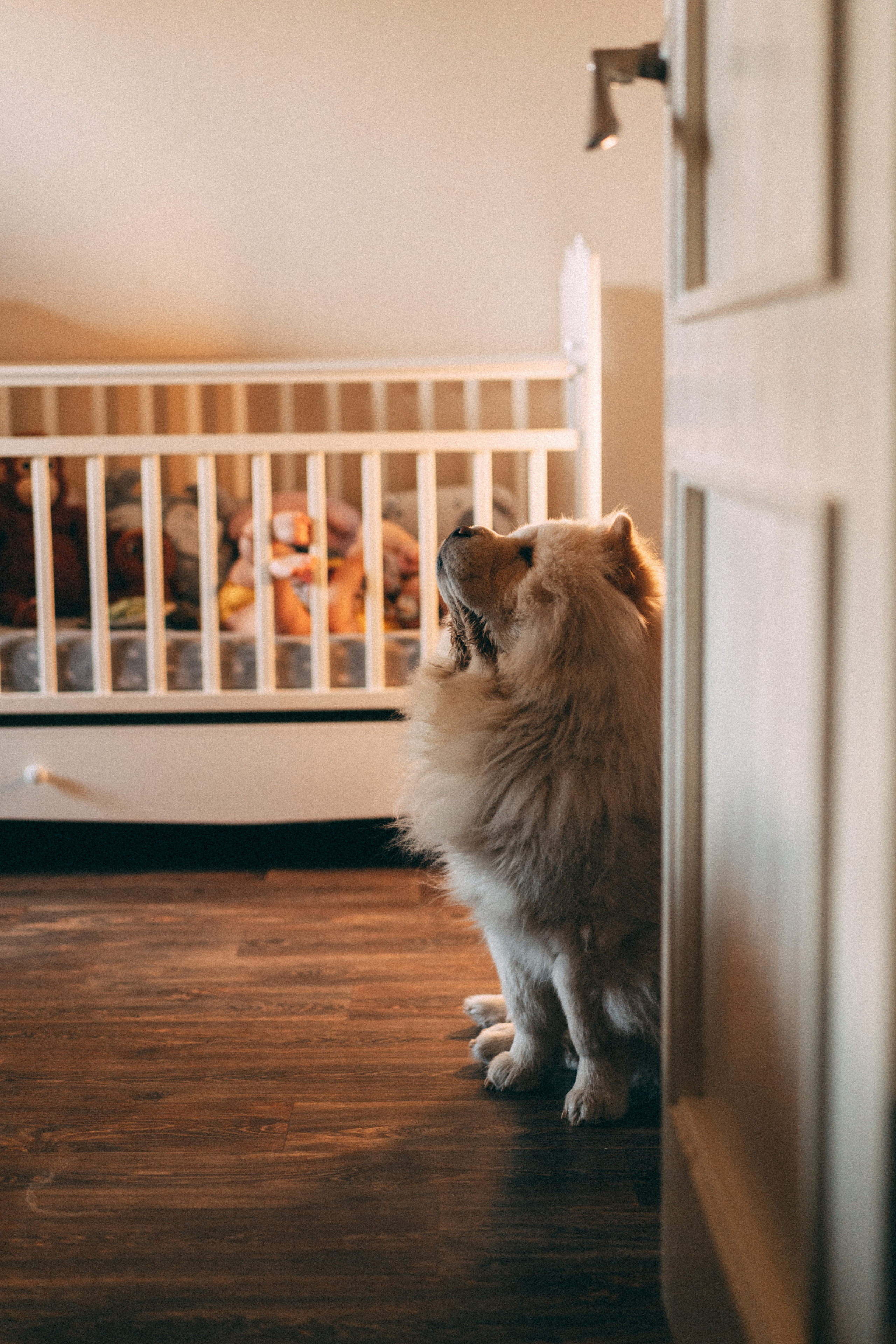 Семейное счастье Алины. Семейный lifestyle фотограф в Ростове-на-Дону