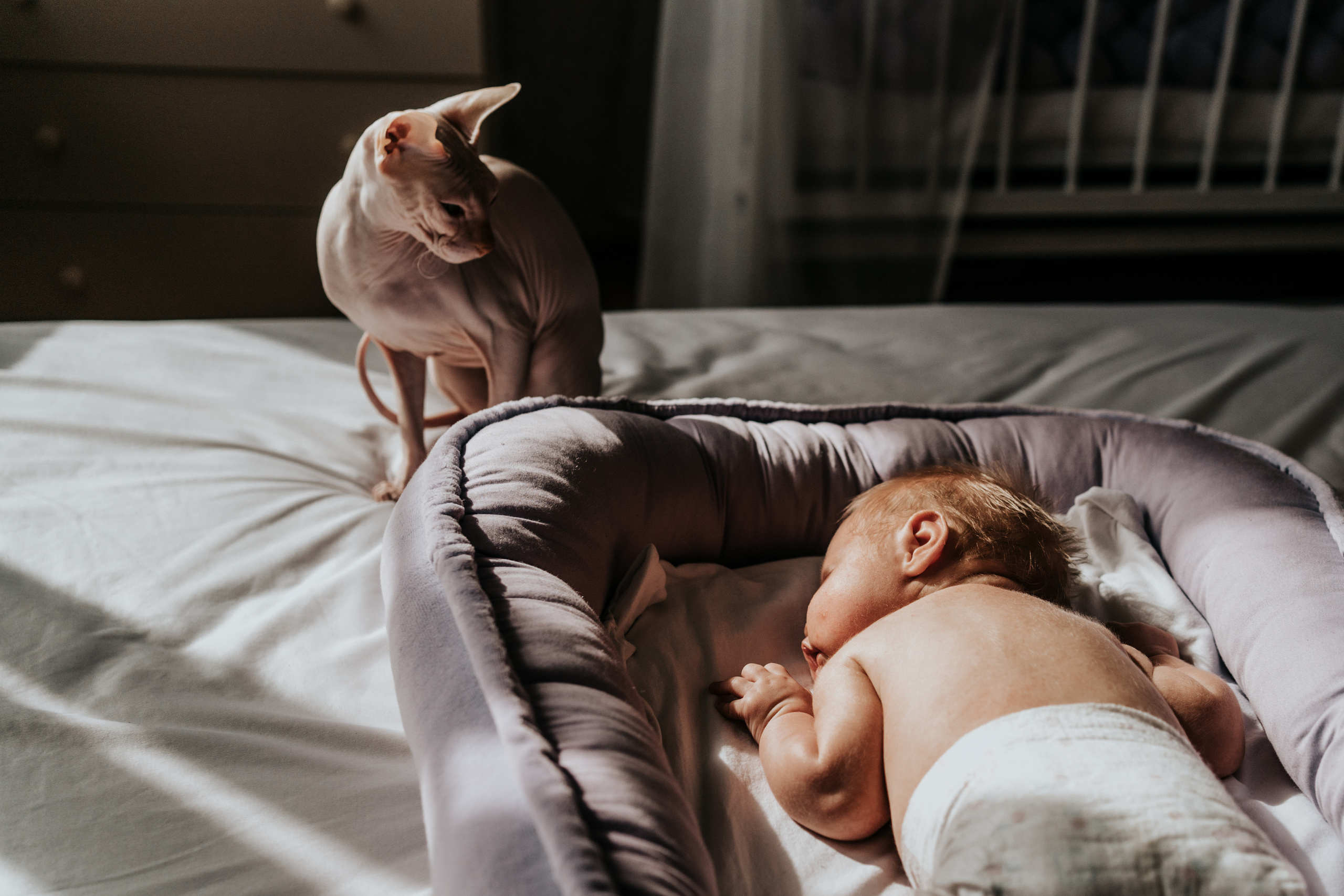 Анастасия, Дмитрий и Катюша. Семейный lifestyle фотограф в Ростове-на-Дону