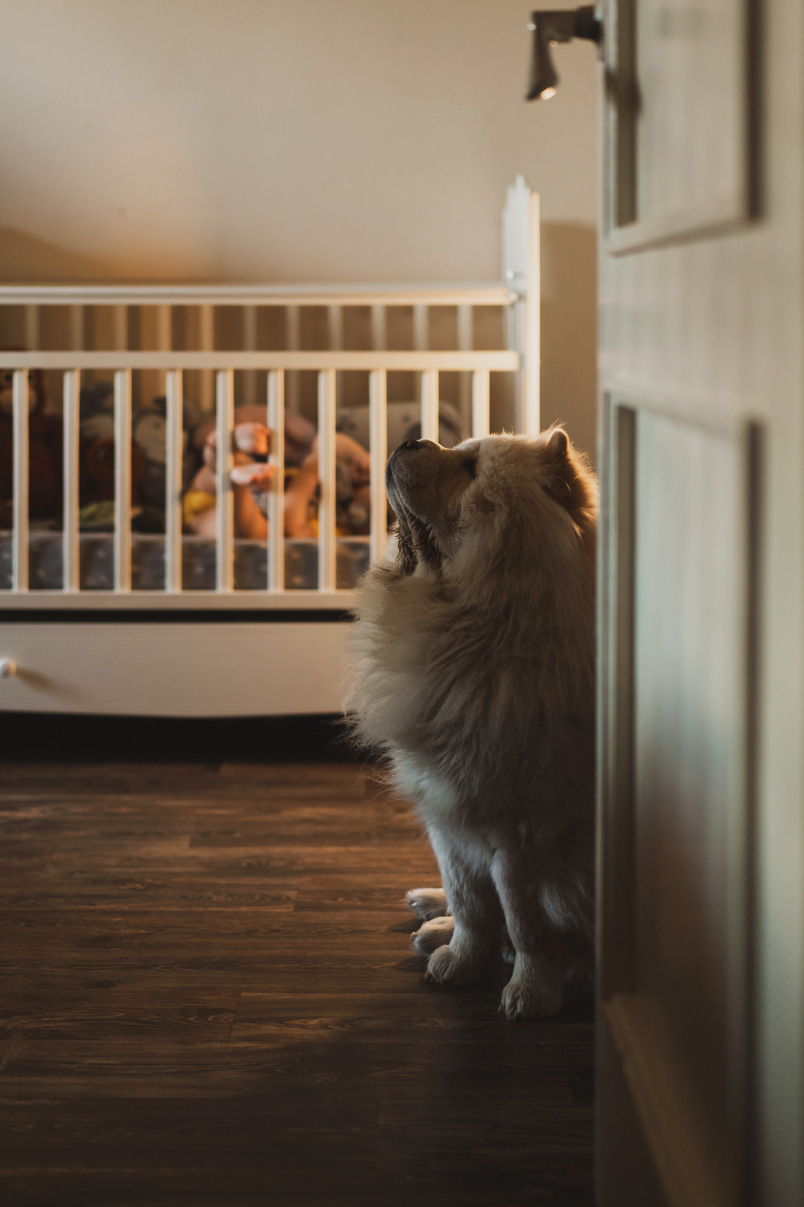 Семейный lifestyle фотограф в Ростове-на-Дону