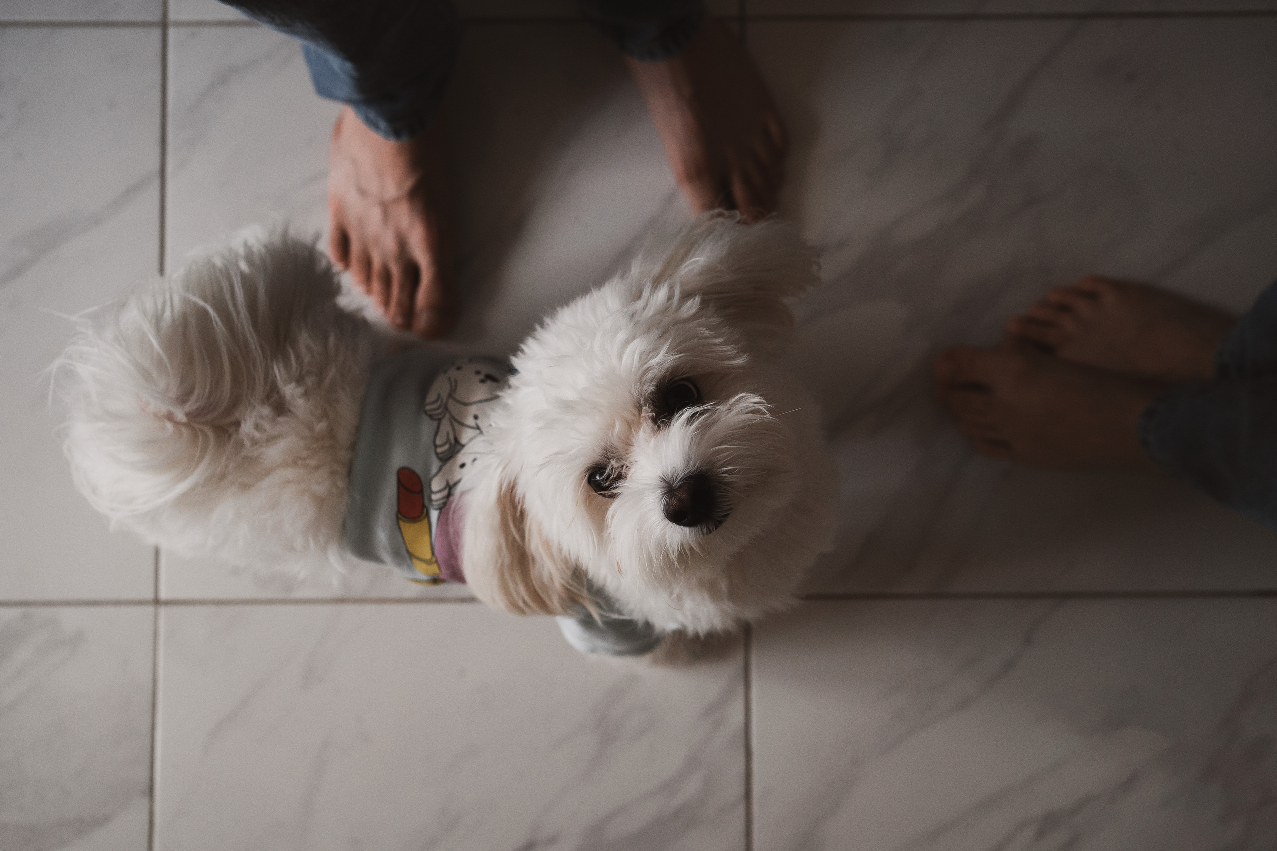 Маленькое счастье Вики и Рината. Семейный lifestyle фотограф в Ростове-на-Дону