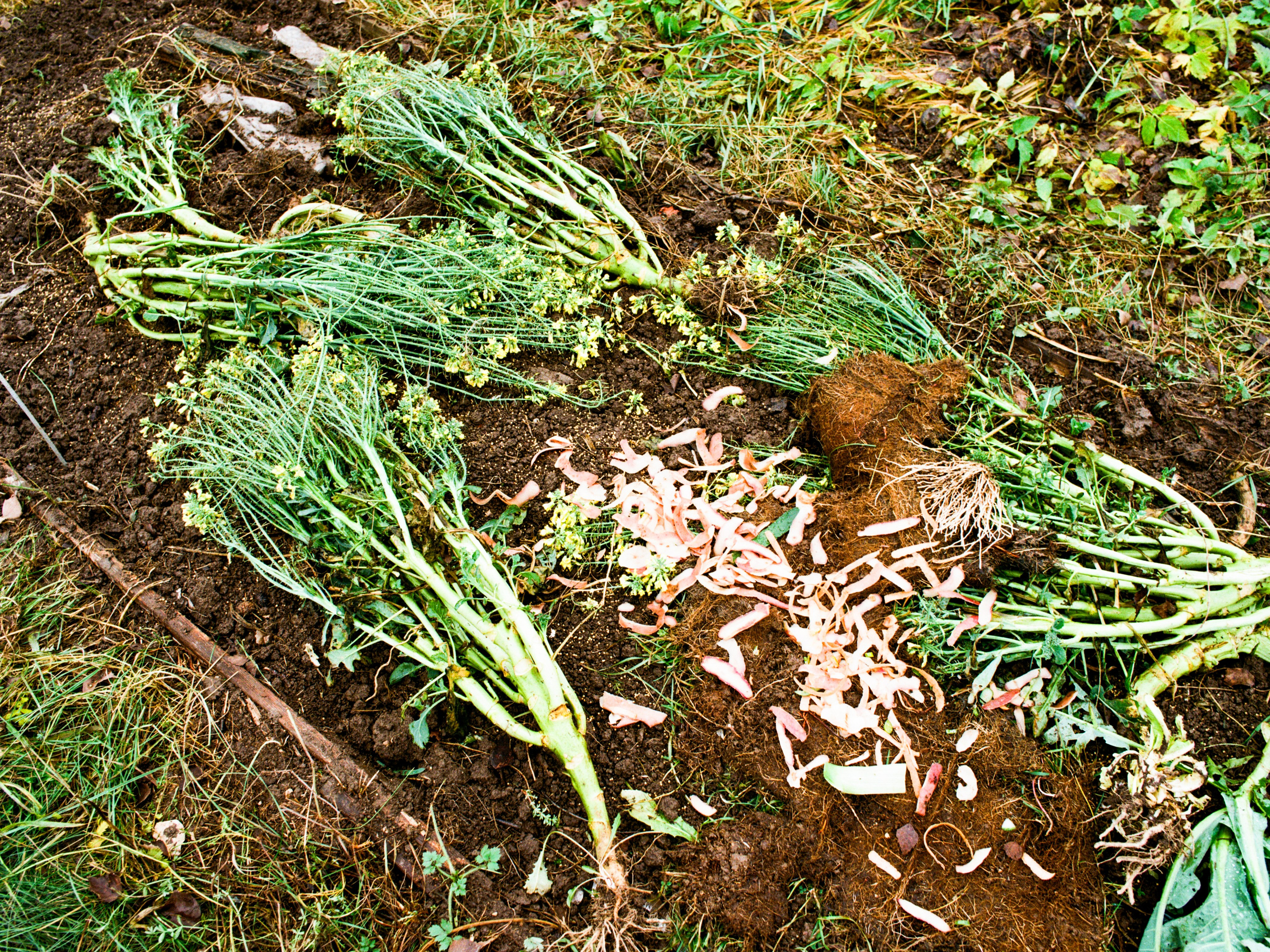 Roadtrip. Maria Abdullaeva