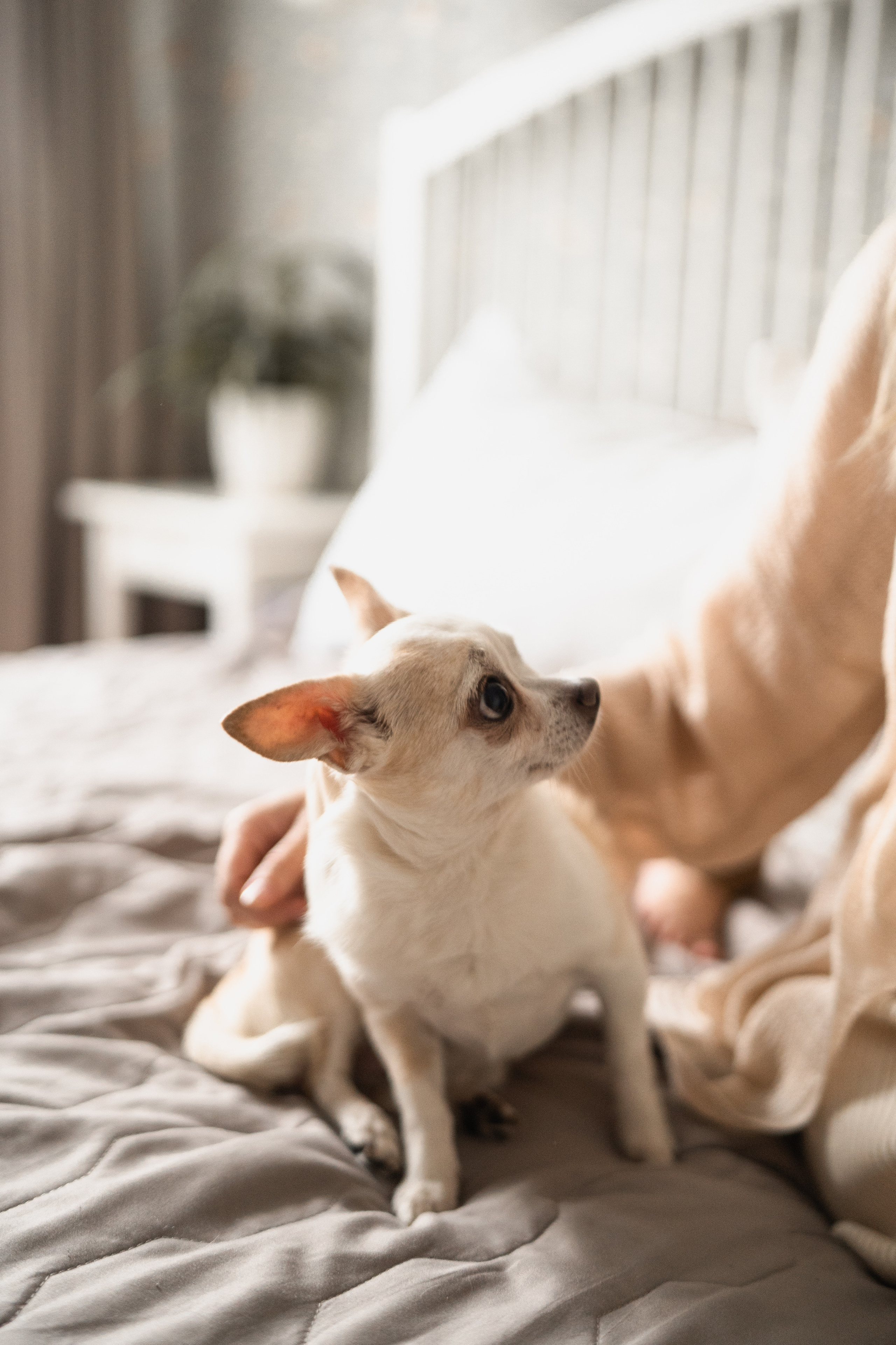 Миша, Катя и Ярослав. Фотограф Королева Елена в Москве