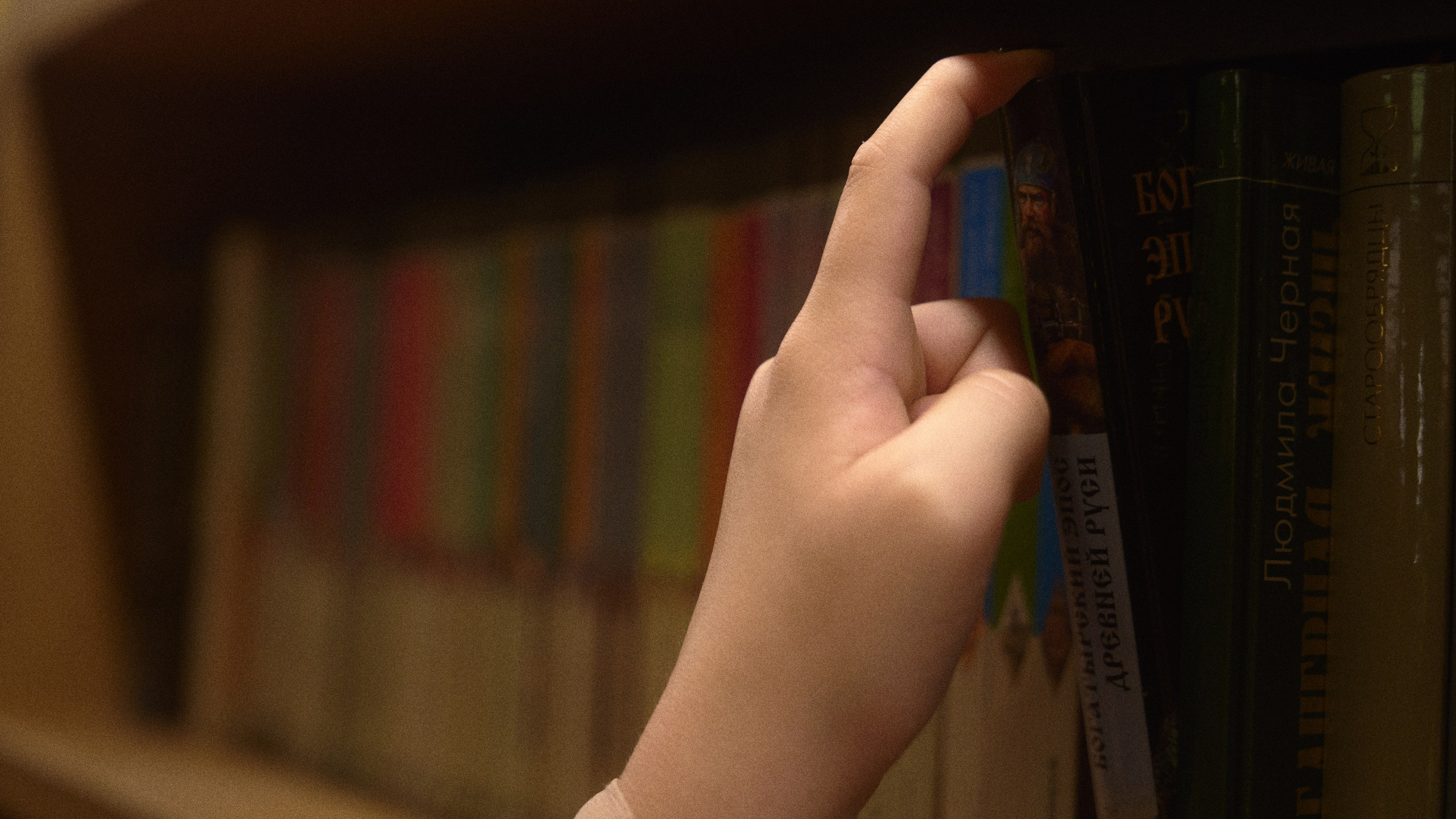 Милана. Сергей Горшенин — профессиональный фотограф