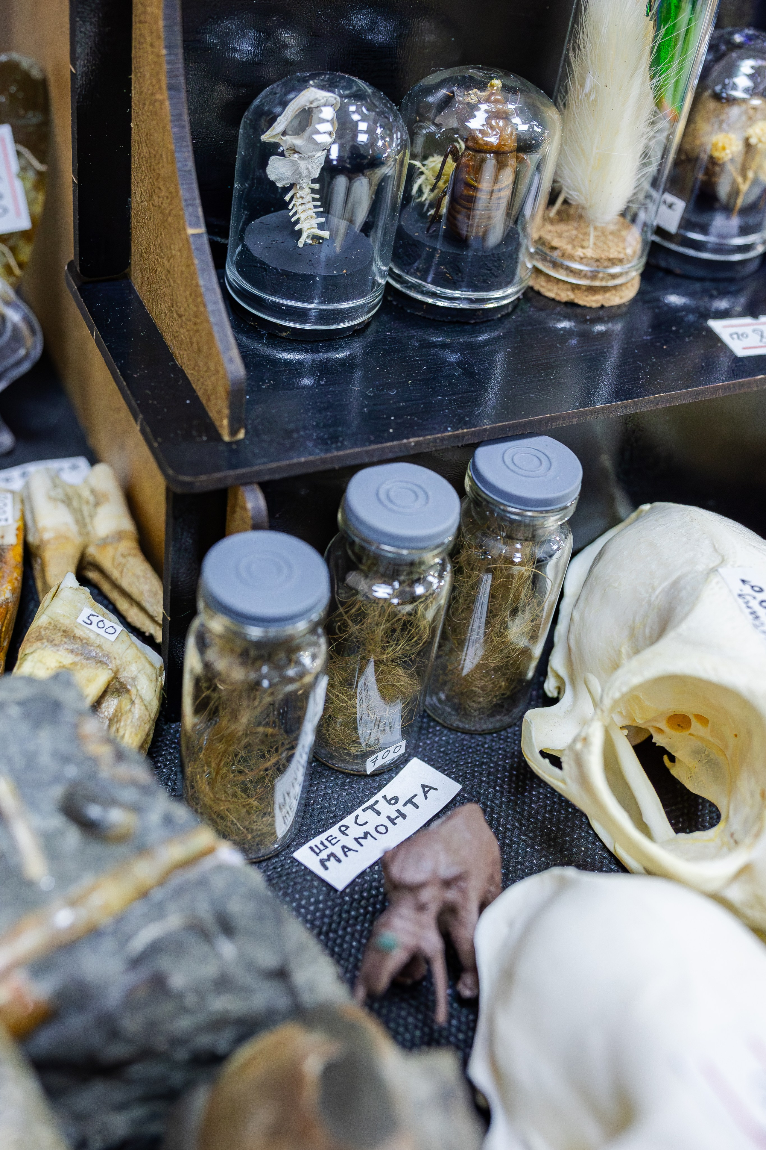 Монстериум апрель 2026. Александра Куликова фотограф, Москва