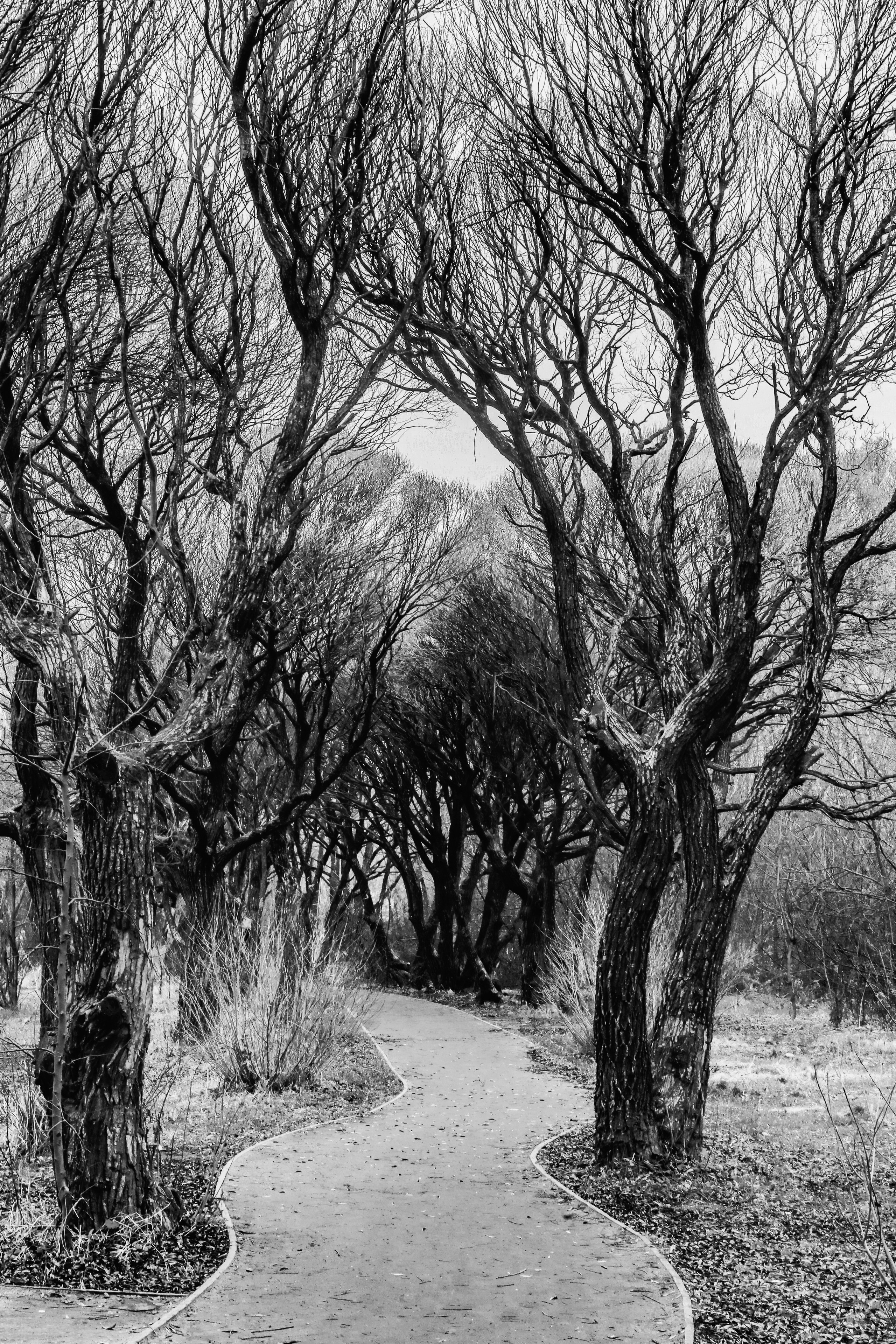 I. Стас Привалов