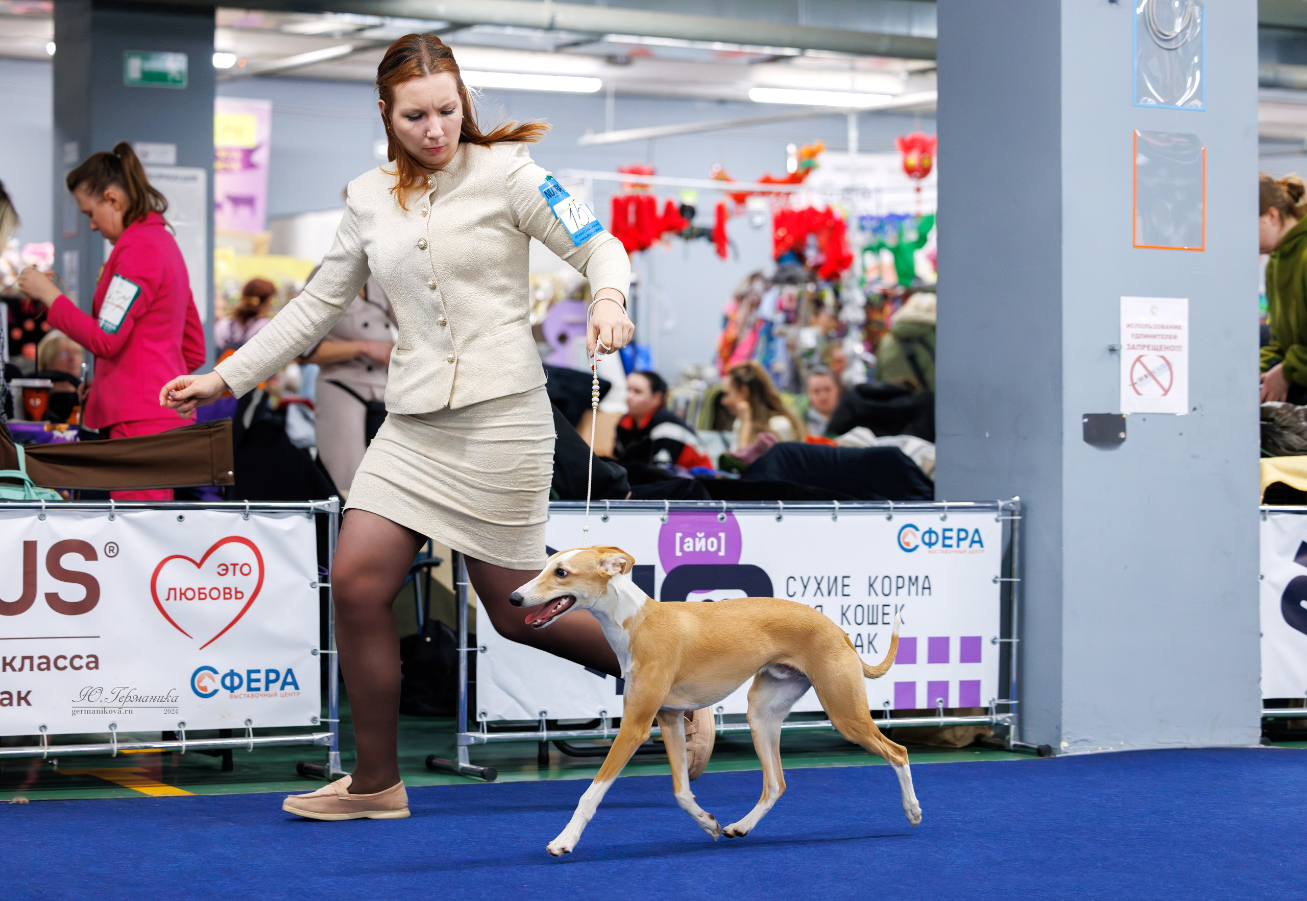 Сфера и Крокус 8,9,16 и 30.03.2025. Фотограф-анималист Юлия Германика