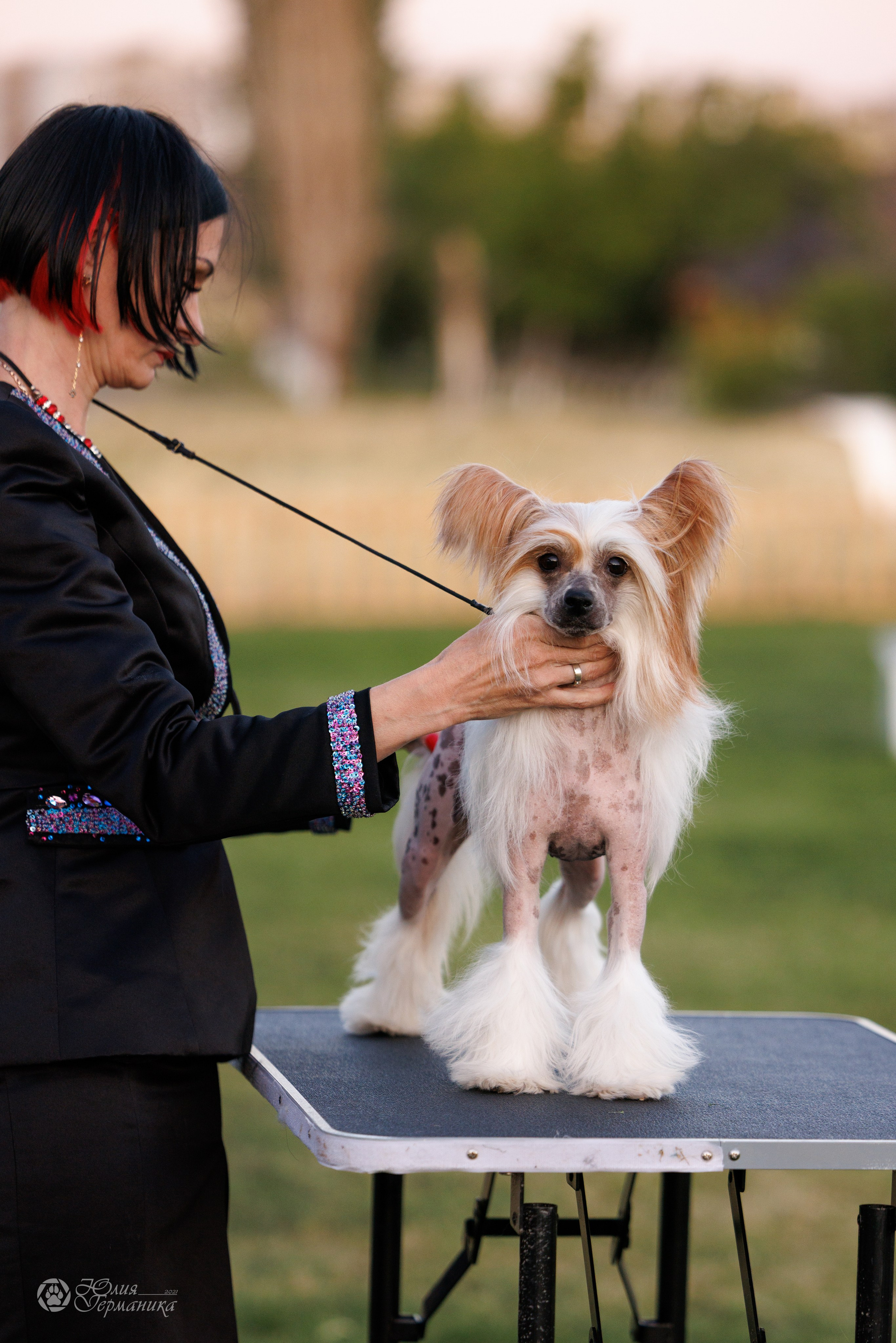 Ереван 3хCACIB 23-25.06.2025. Фотограф-анималист Юлия Германика