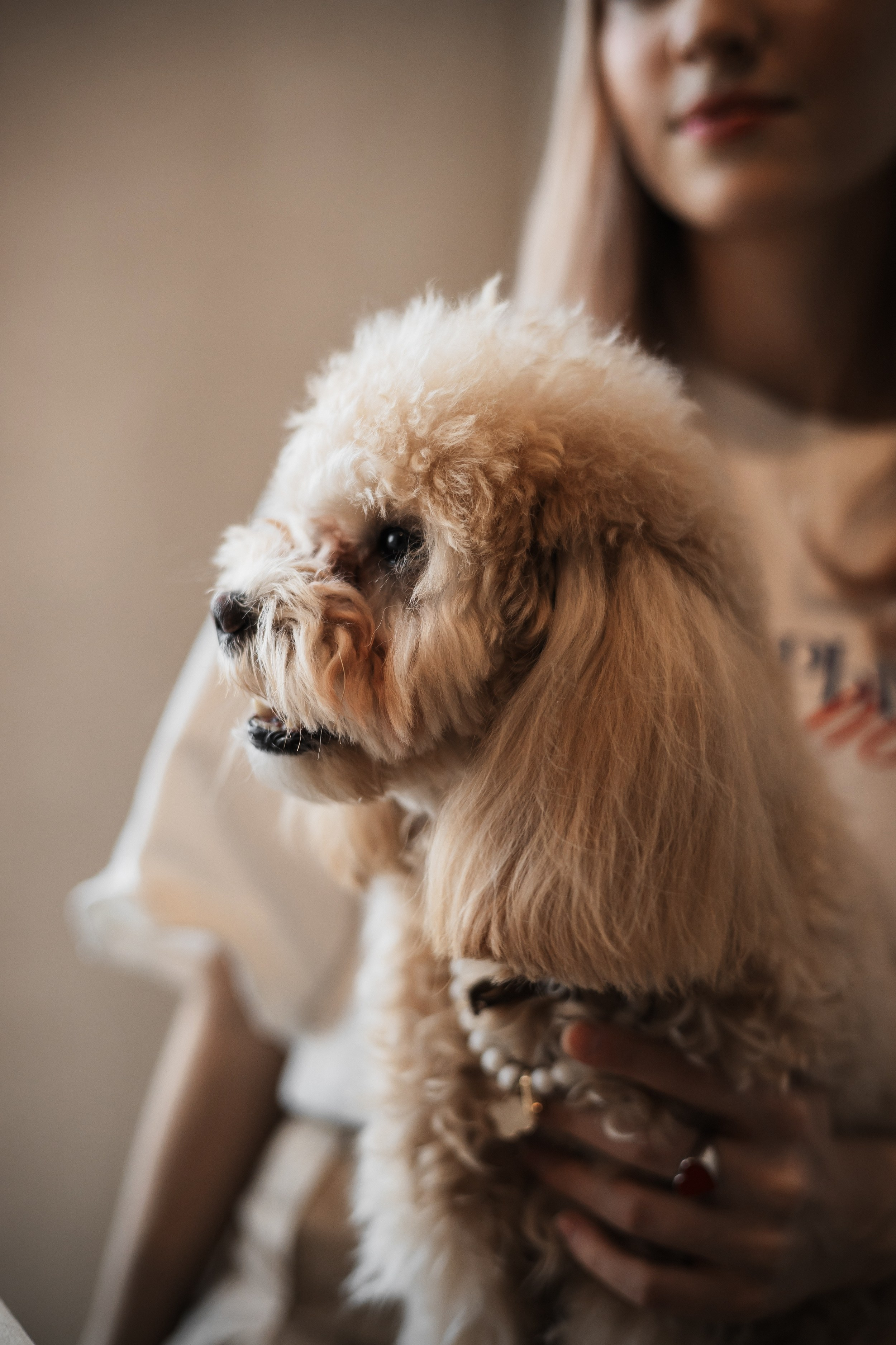 Алина — прогулка