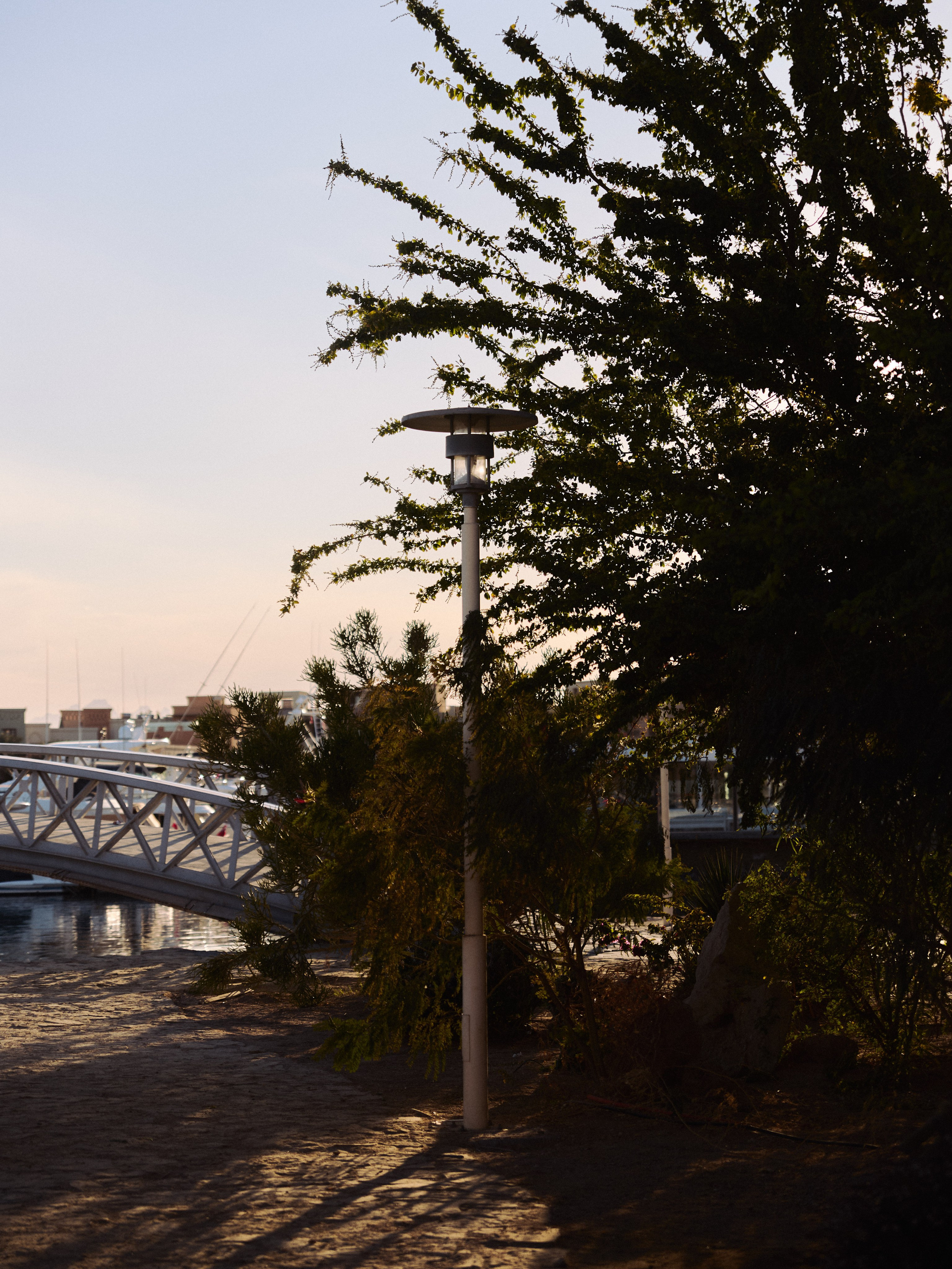 Природа сквозь. Jorgis Talè — photographer, kind person, teacher of arts and other mag