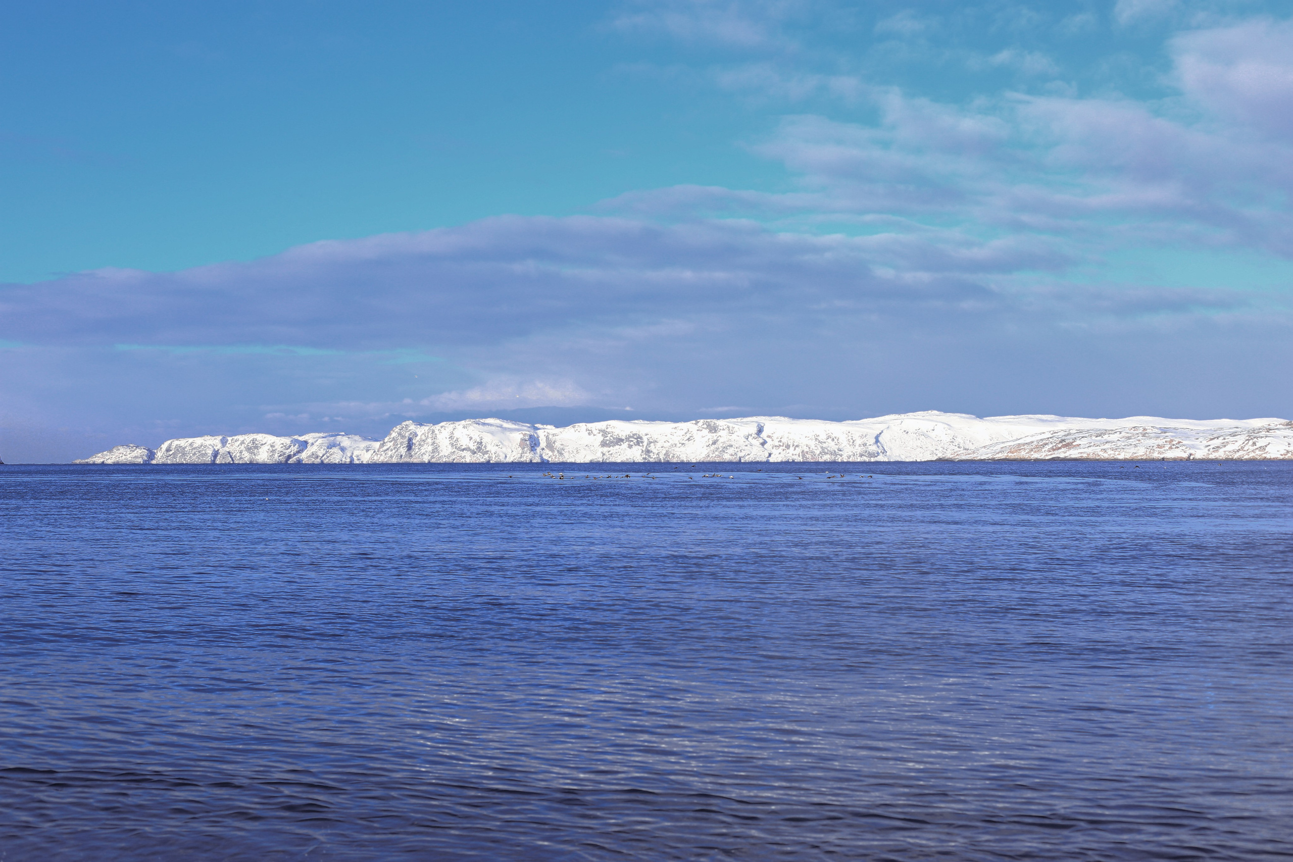 Фото с прогулок и с поездок на Кольский полуостров