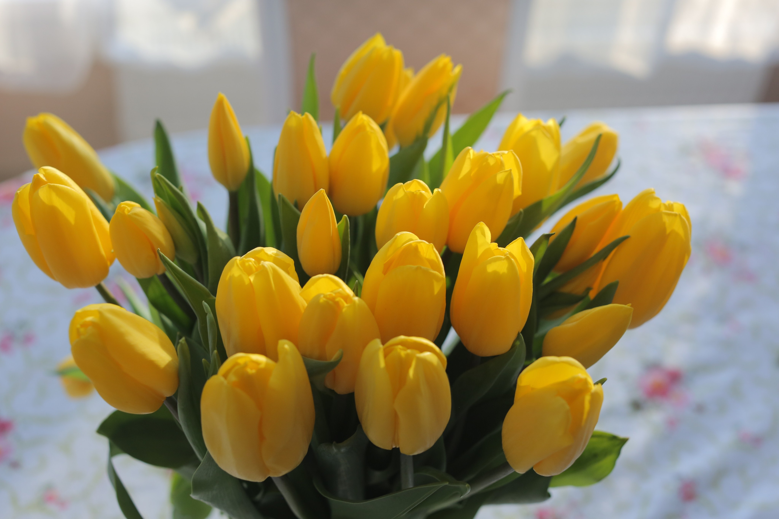 Фото Цветов. Студия Максима Белослюдцева