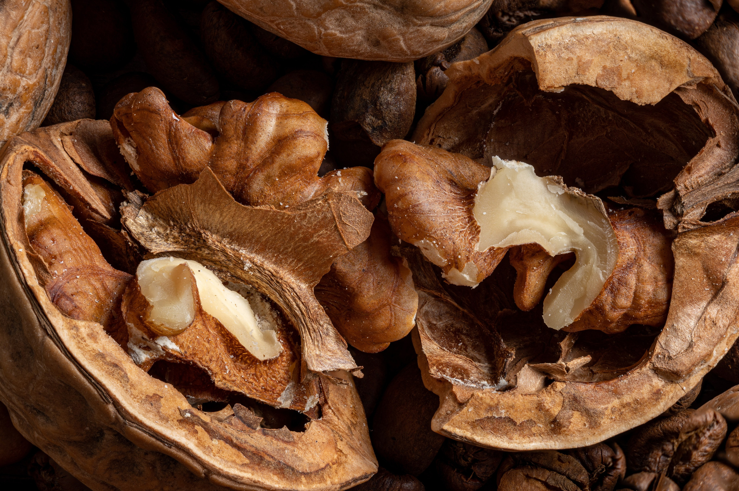 Сочная съёмка еды Москва и МО