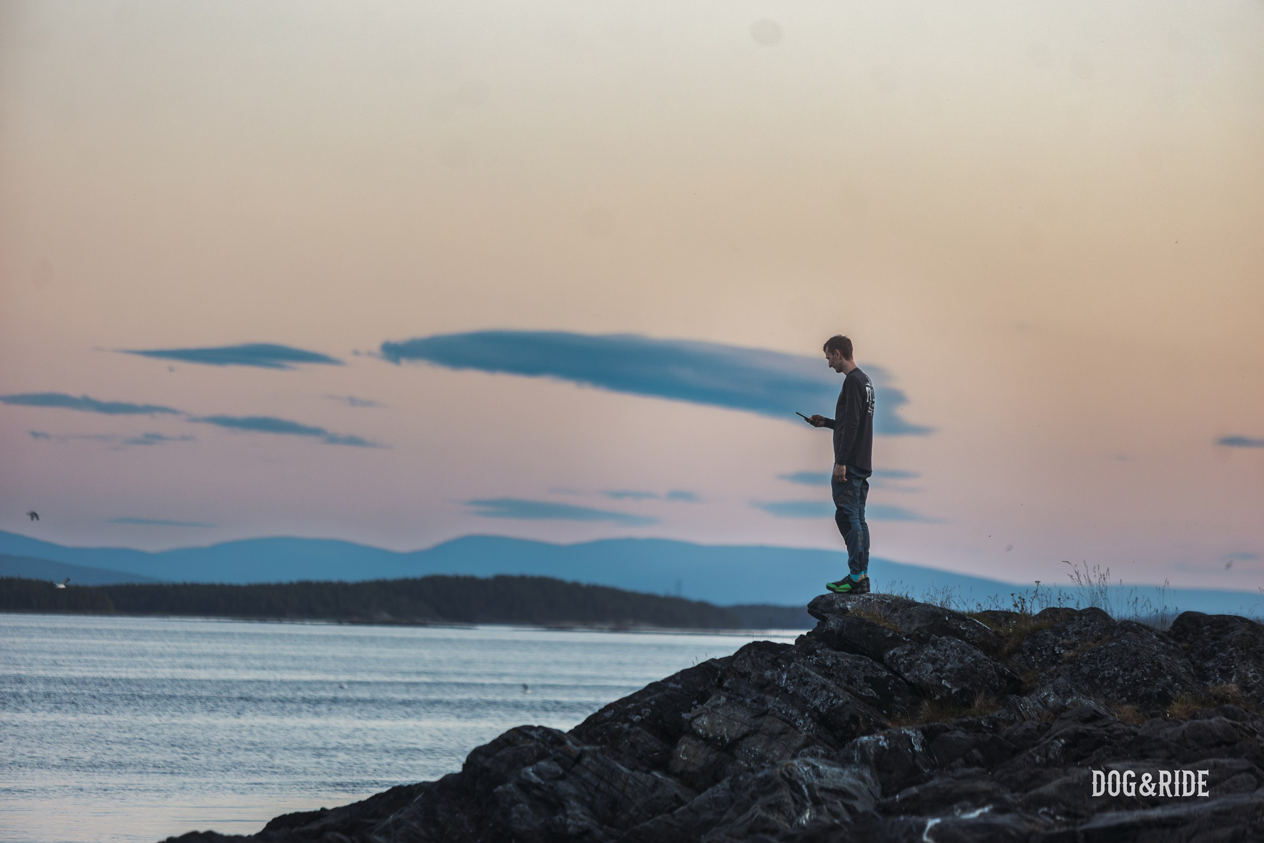 Кандалакшка. Фотограф анималист Никита Натальный
