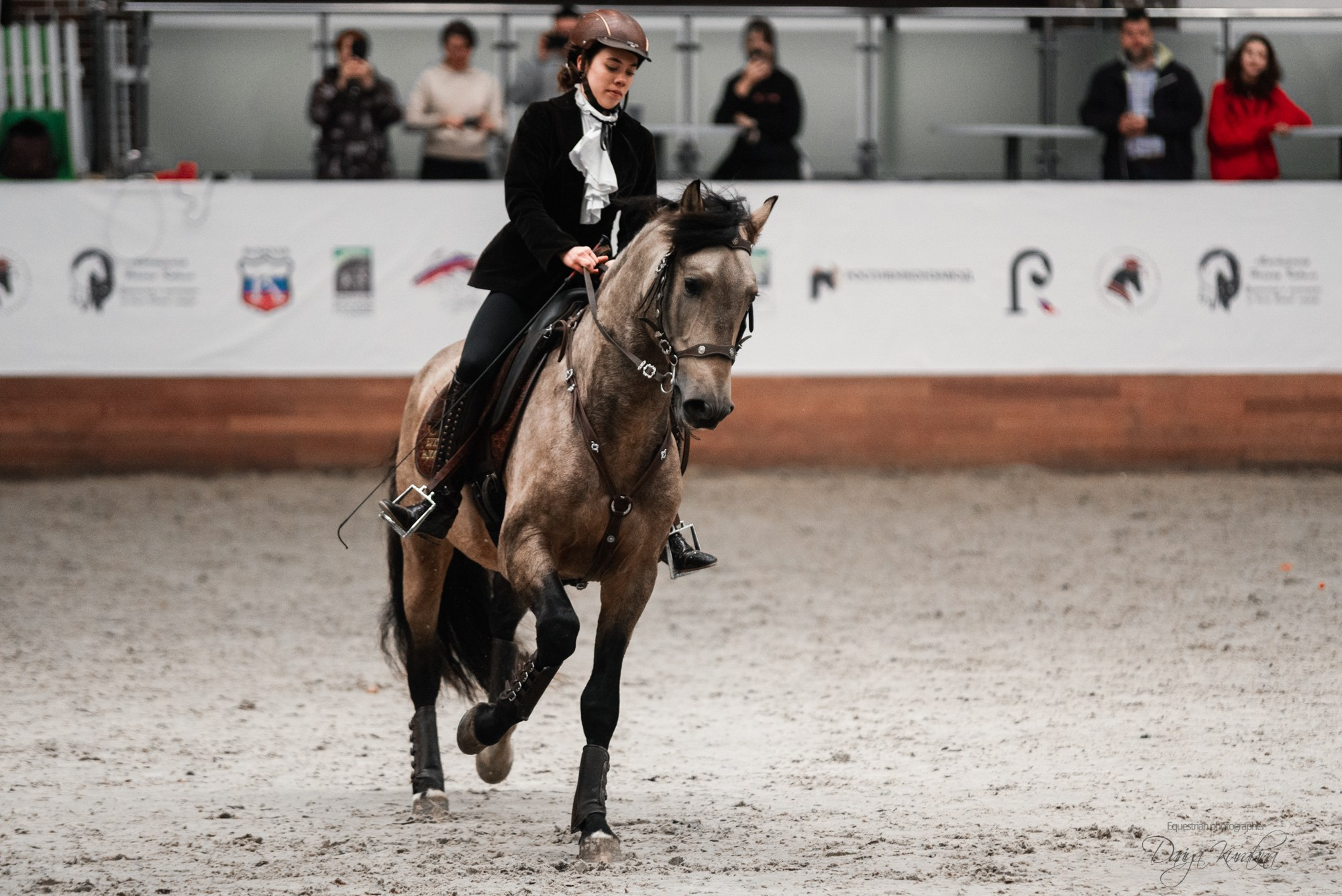 8-я международная выставка Конная Россия. Конный фотограф Куракина Дарья • Фотосессии с лошадьми