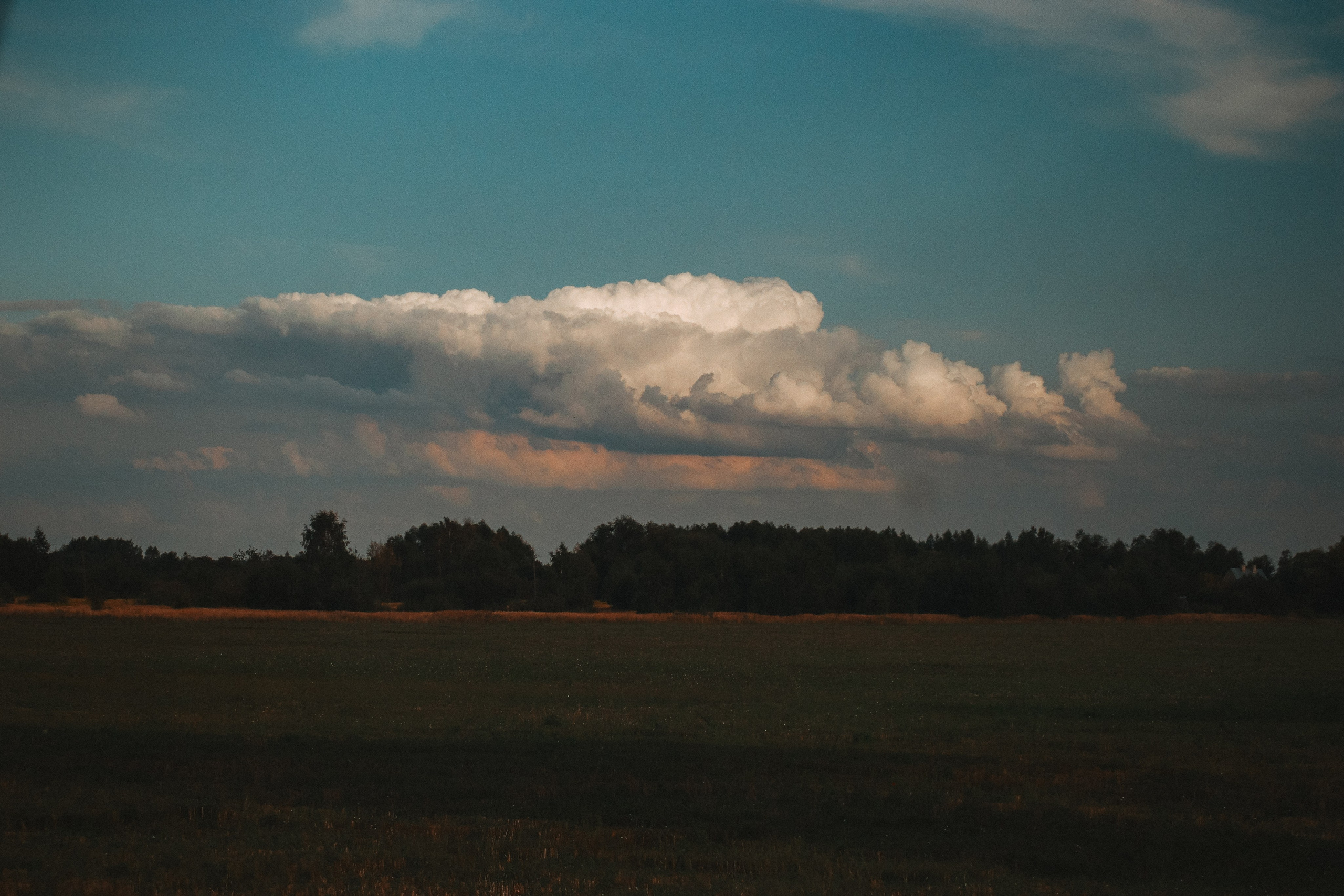 П Е Й З А Ж Н Ы Е. — Digital Noise —