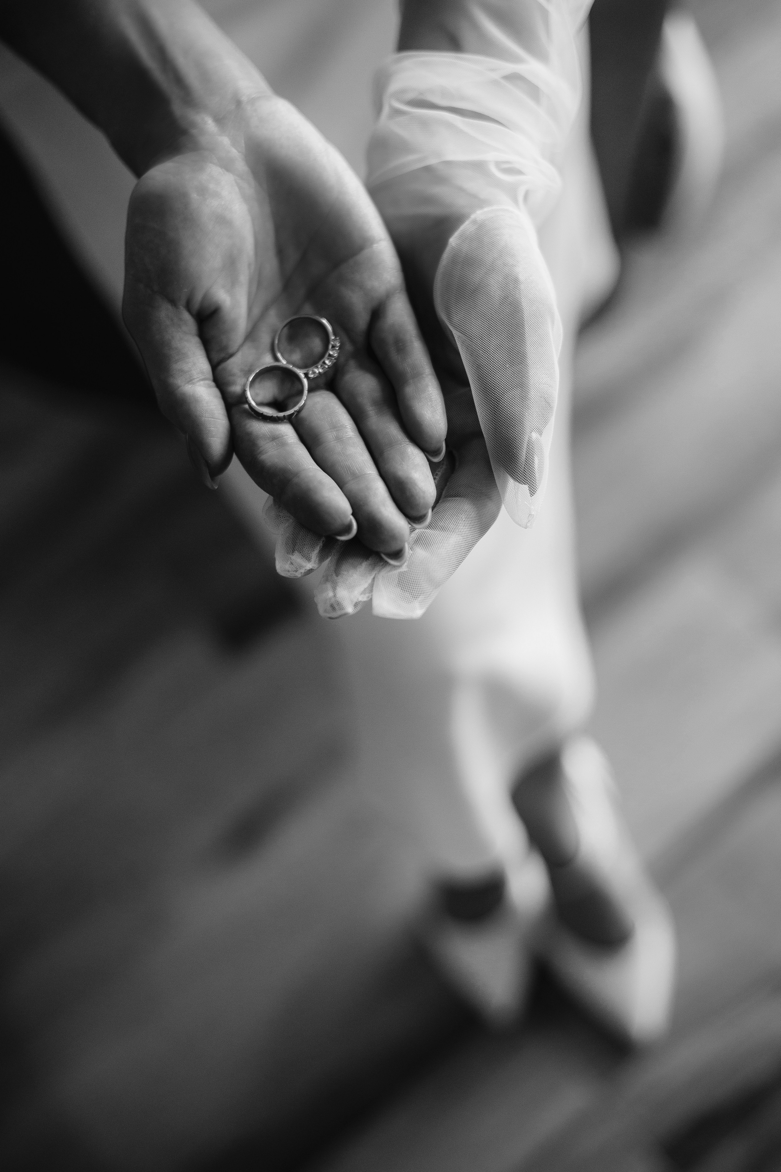 Алина & Станислав. Свадебный фотограф ростов