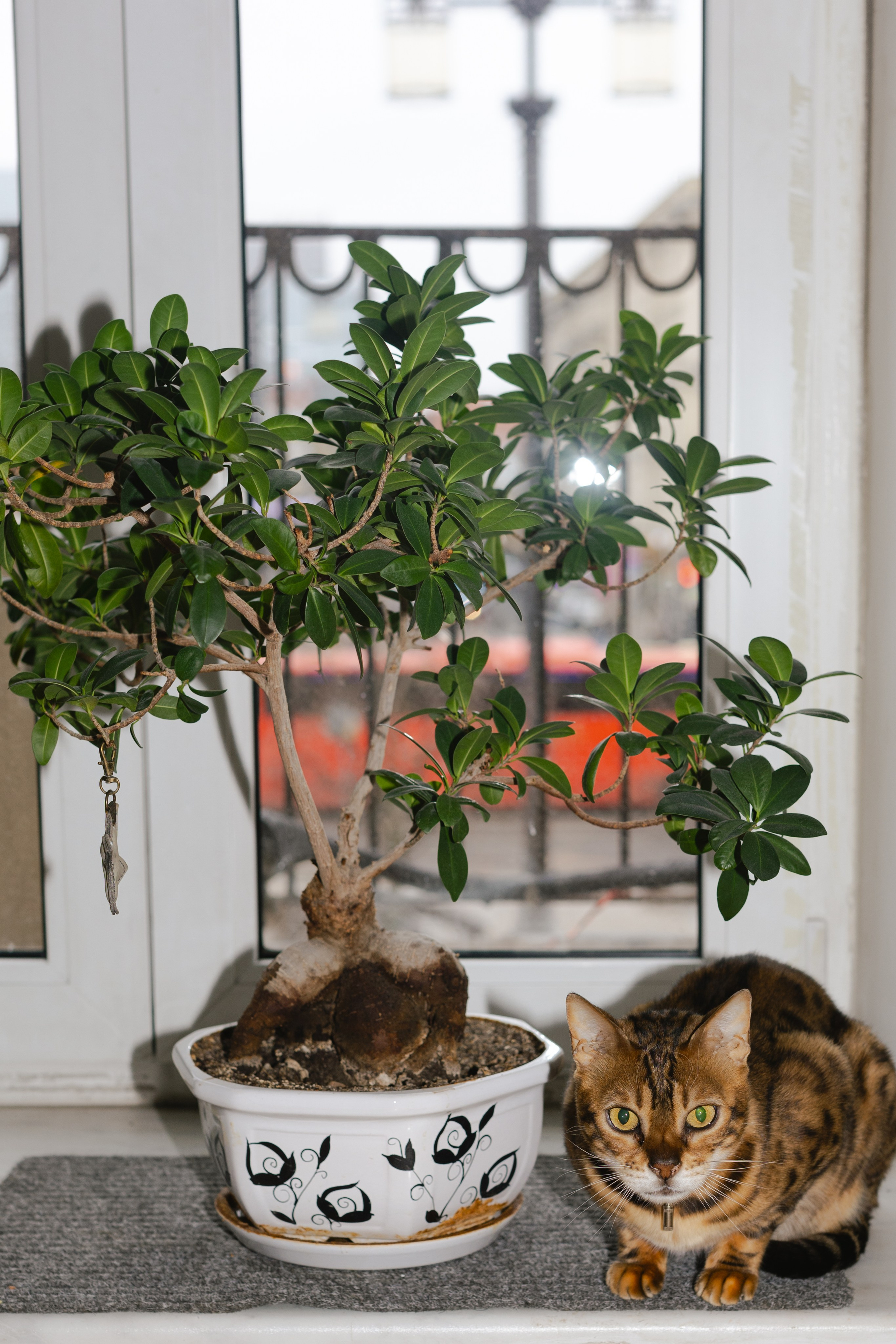 Илья и Лиза. @dariazphoto свадебный фотограф