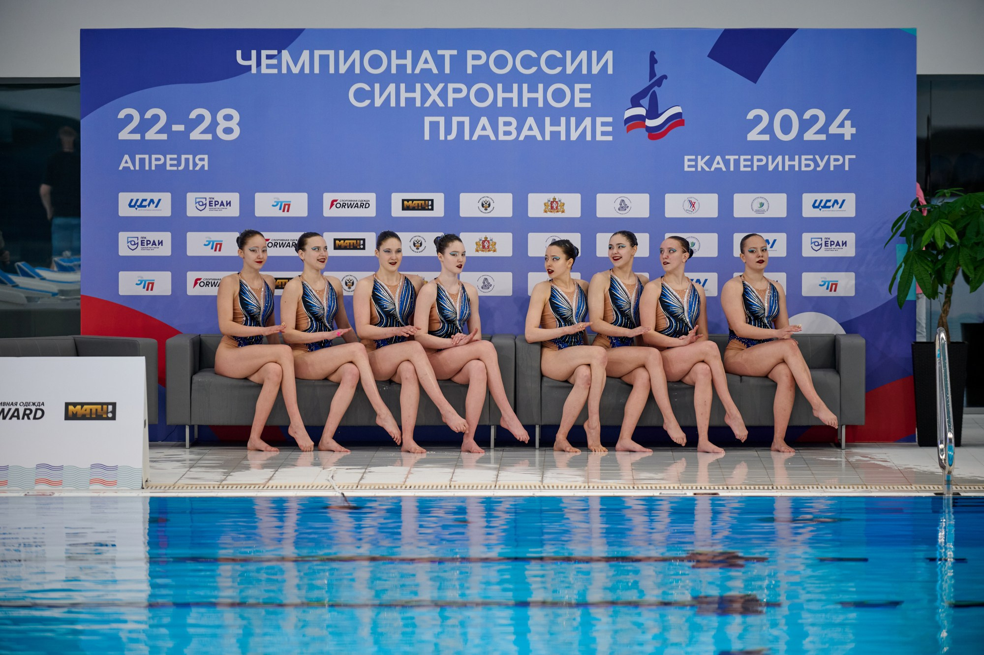 Чемпионат России Синхронное плавание 2024. Мезенцев Евгений фотограф