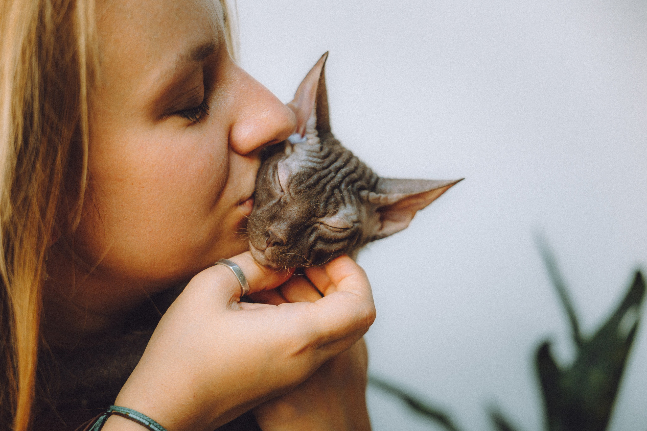 Кокос, Света, Динара и Вилли