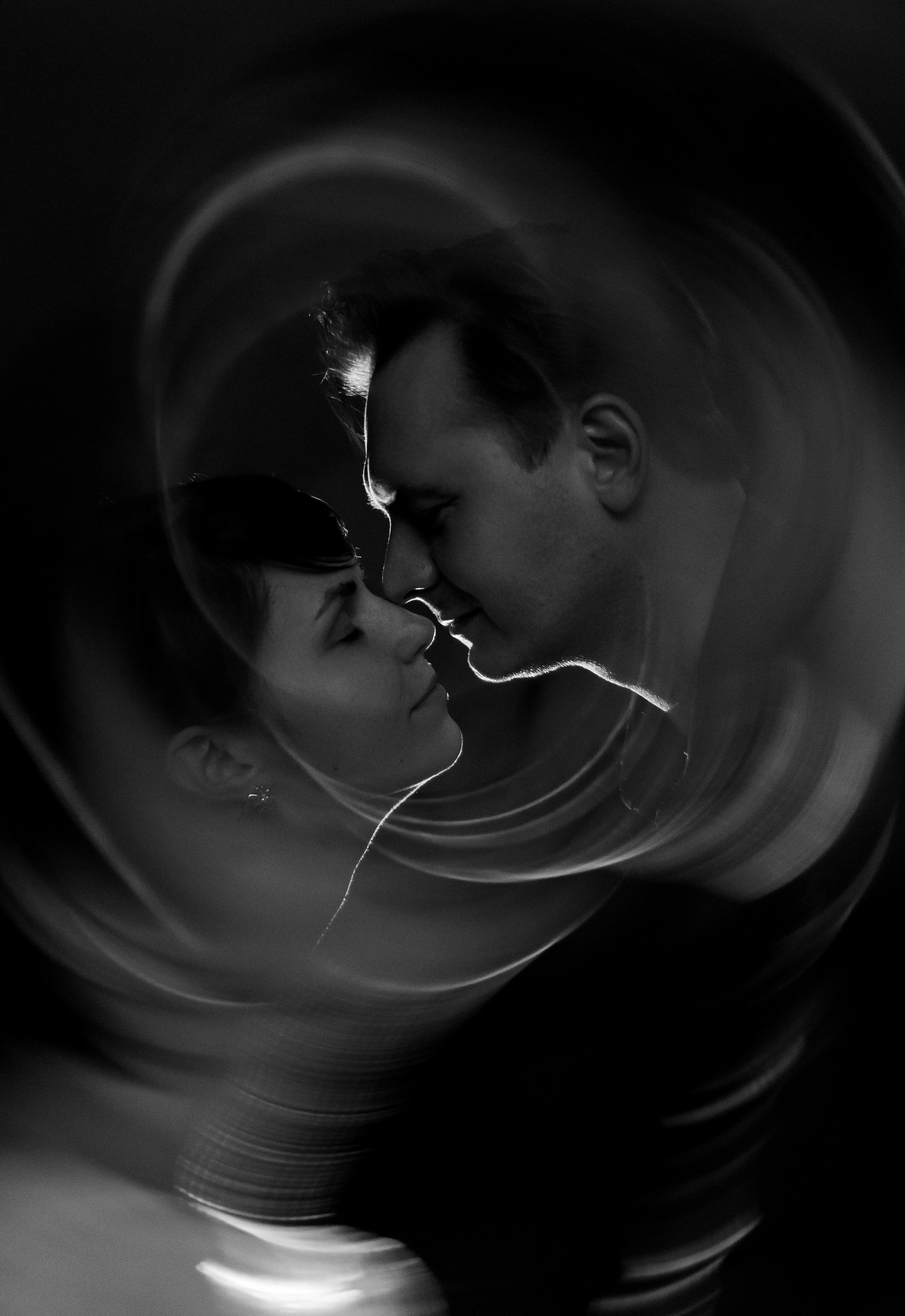 Домашняя история. Meryfotoidea