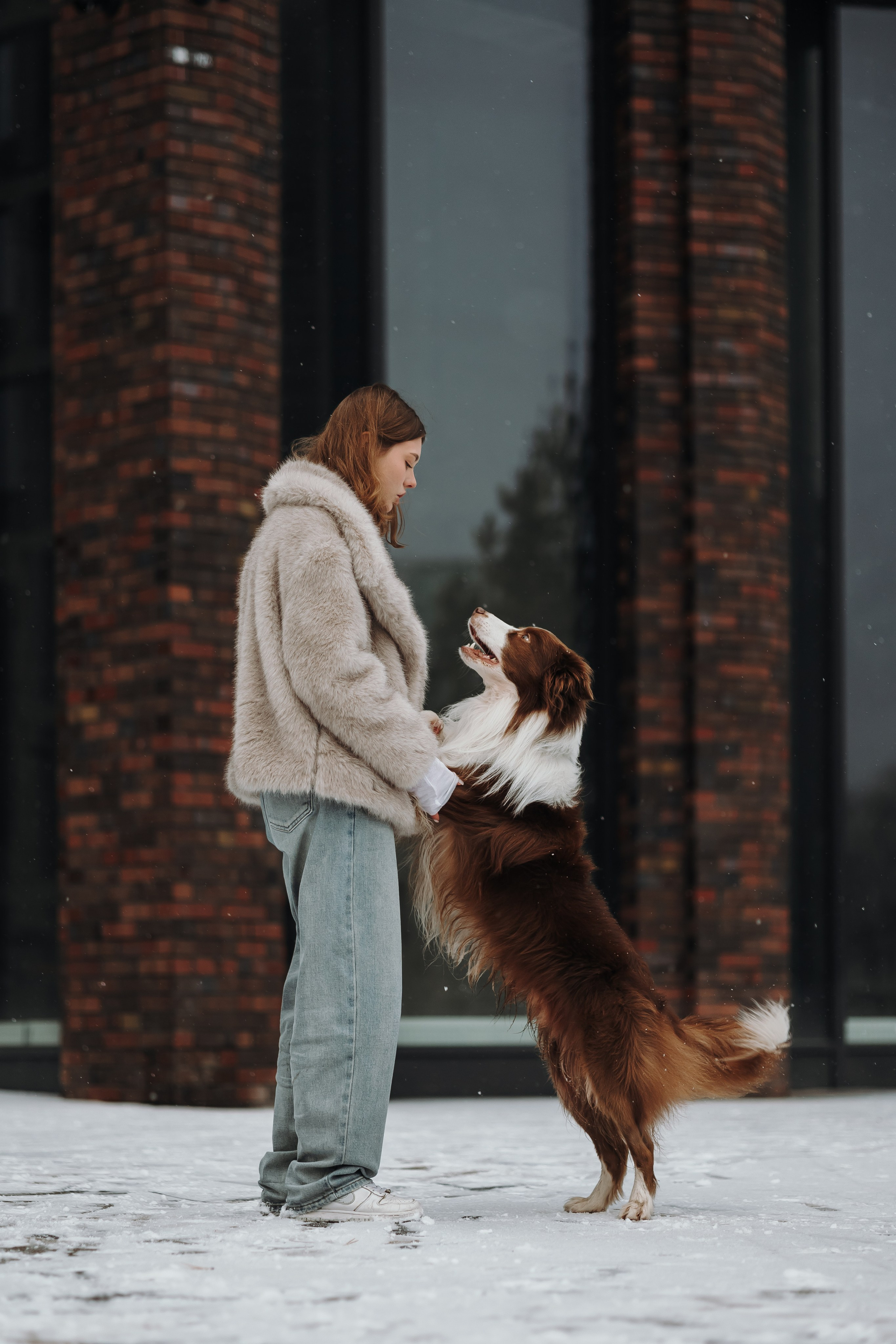 Маша и Брауни. Фотограф-анималист в Санкт-Петербурге Алина Яхонт