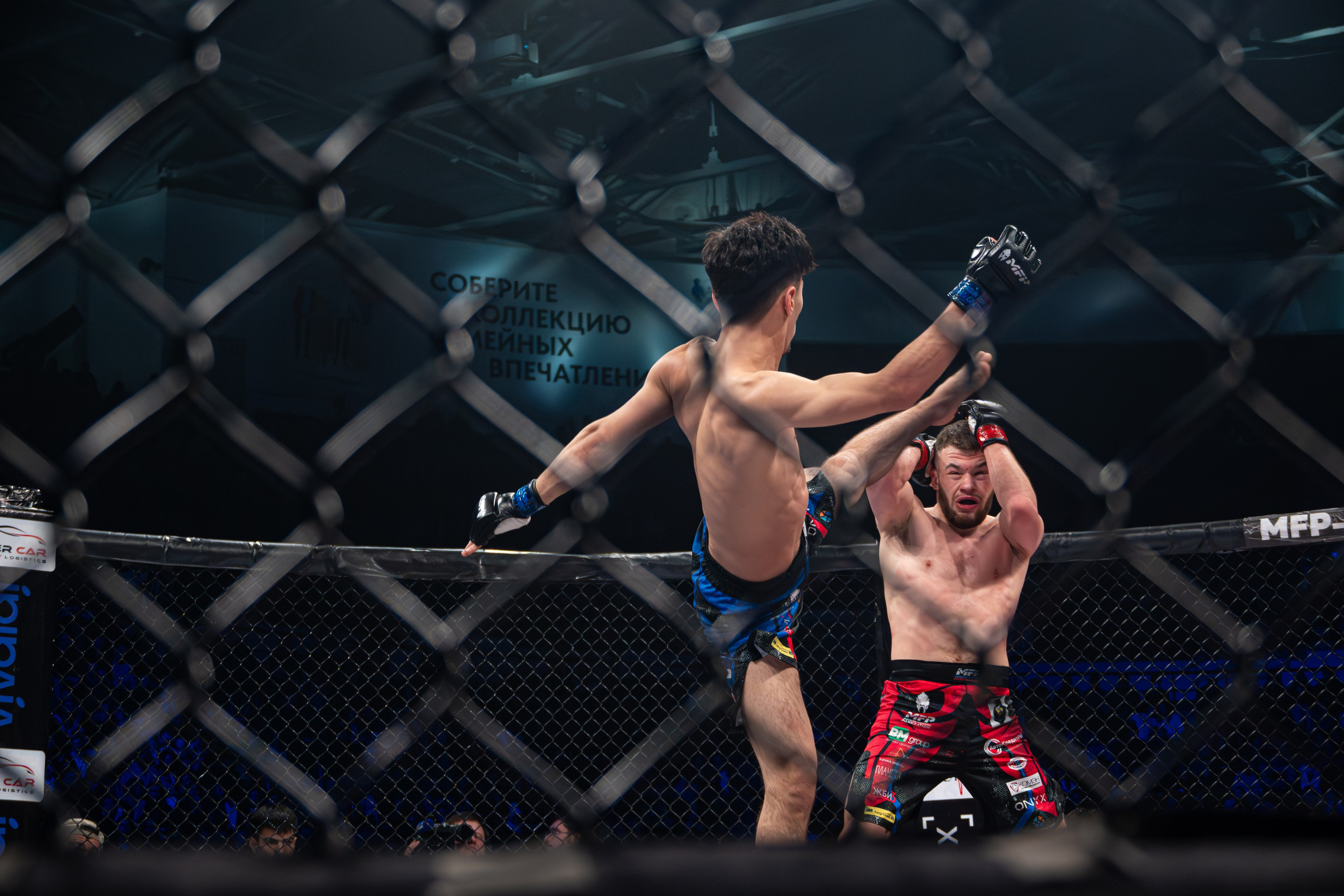 ПАНКРАТИОН. Репортажный фотограф Владислав Остерман