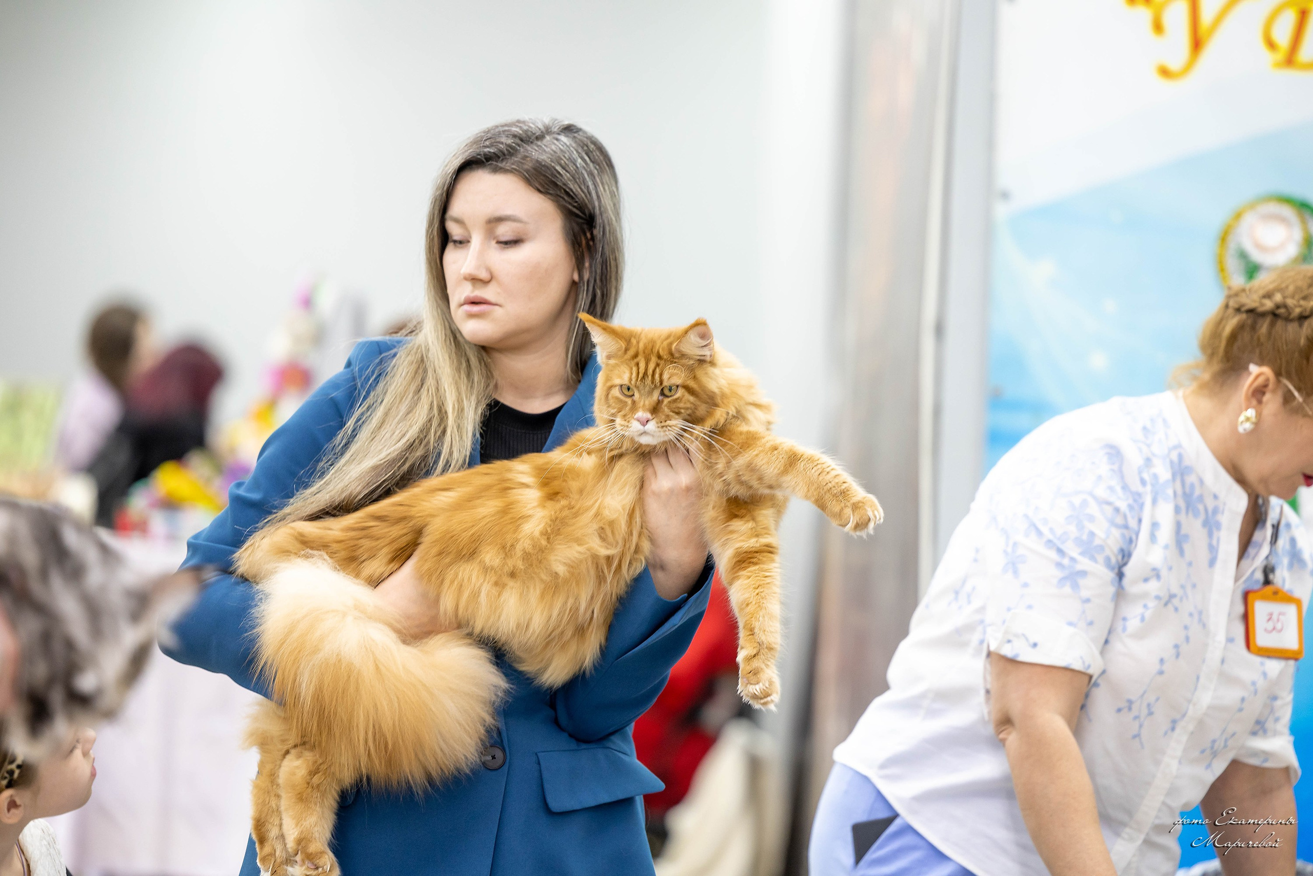 11–12 апреля — Интершоу — «Звездная Галактика Доброго Кота». Работаю со стендом. Фотограф-анималист в Омске Екатерина Маричева