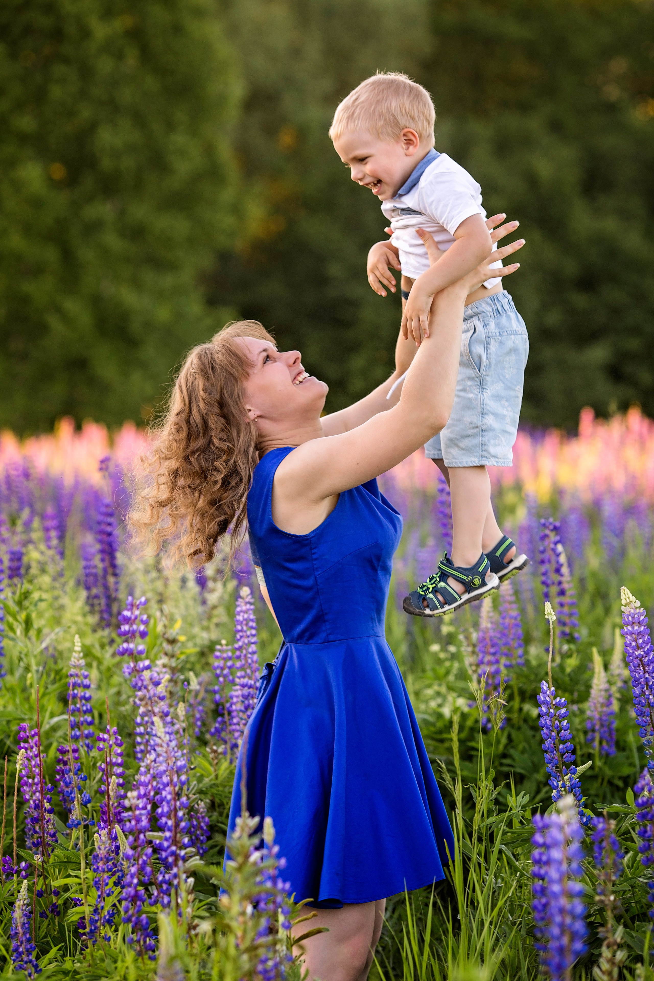 Индивидуальная фотосессия в люпинах (Анна). Главная