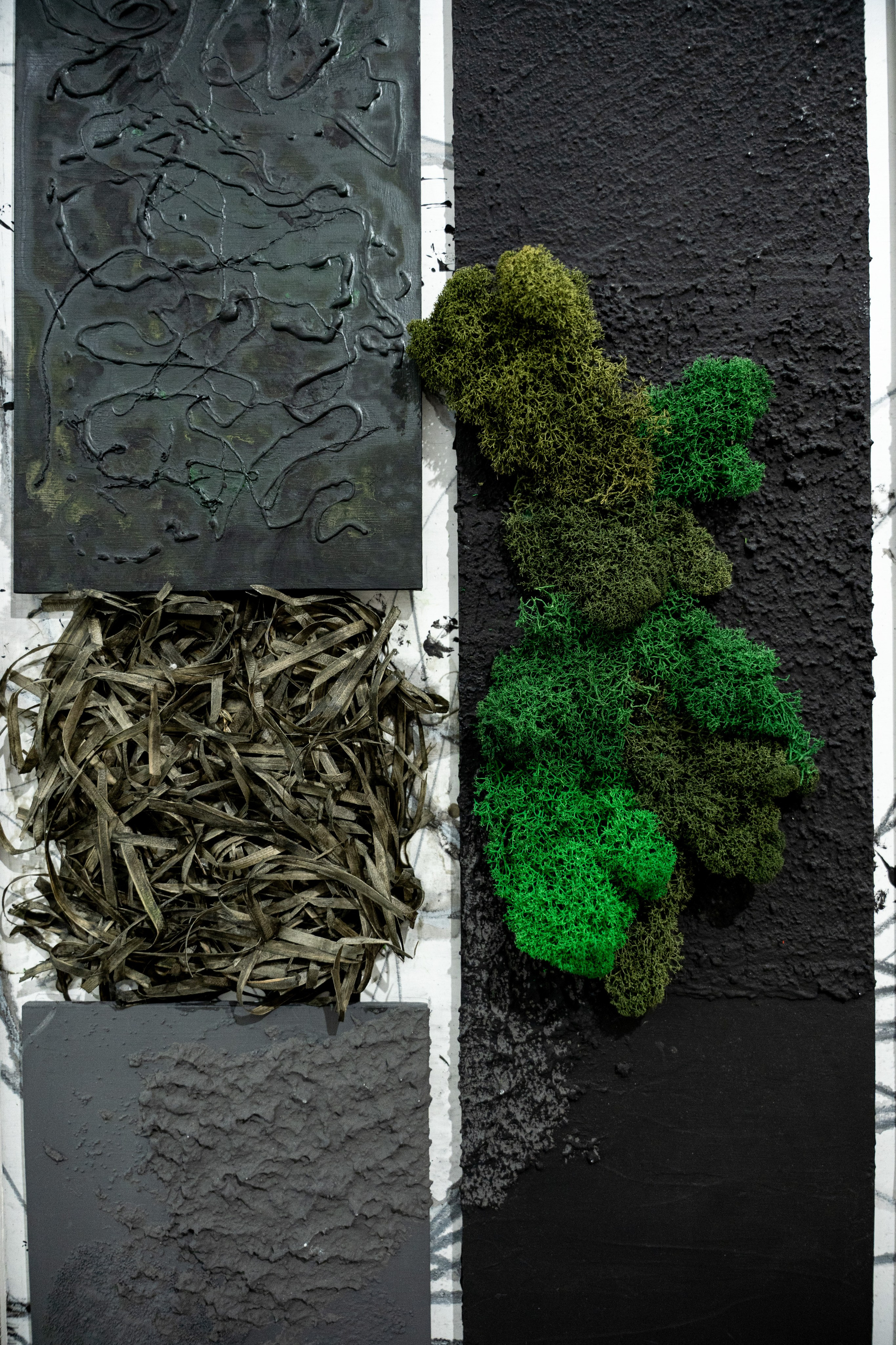 ЛЕС Авторский проект Юлии Якубович 04.11.2025. Портретный и репортажный фотограф в Москве Разуменко Роман