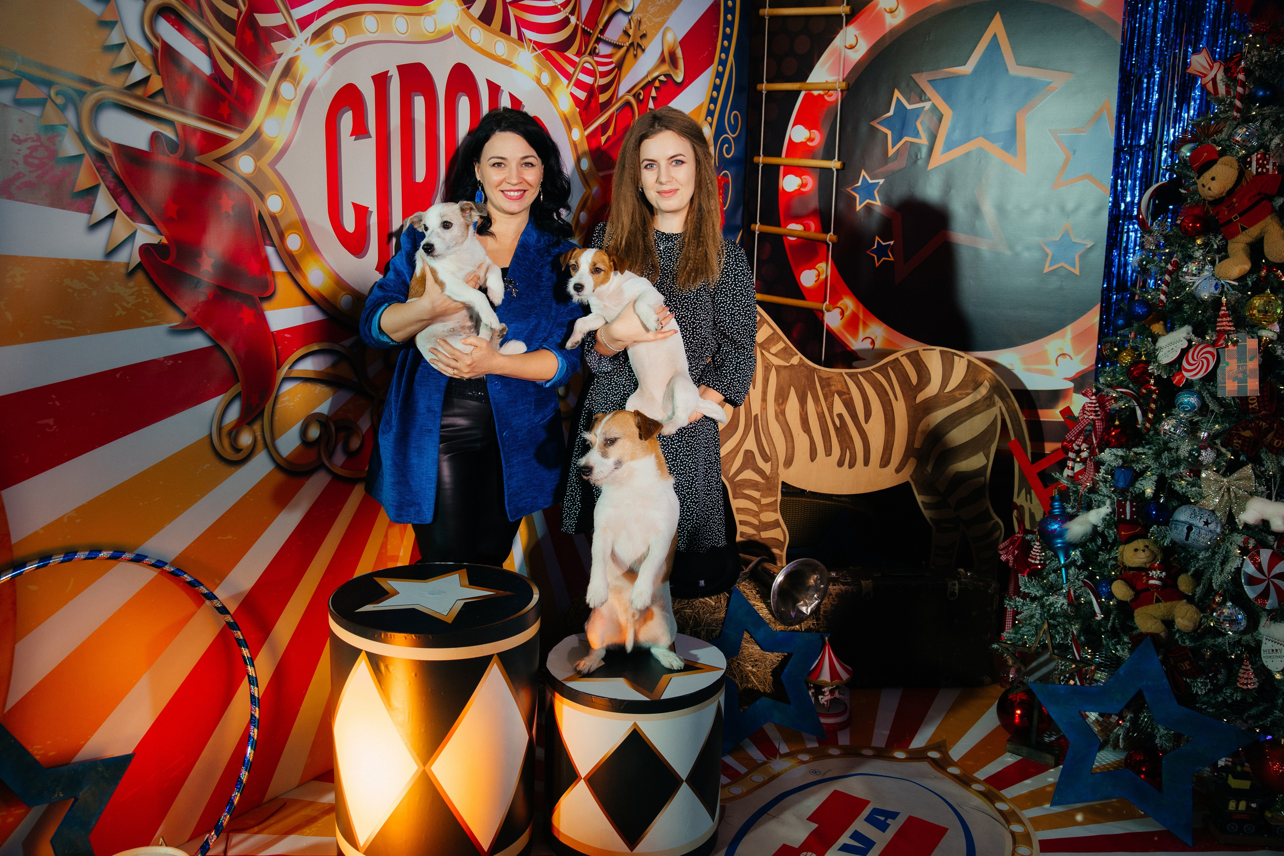 Корпоратив Цирк. Свадебный фотограф Минск РБ