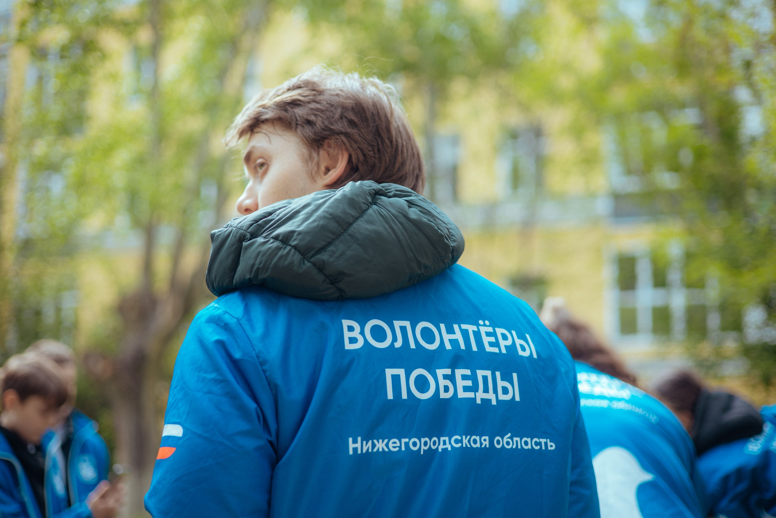 Сад памяти | волонтеры победы