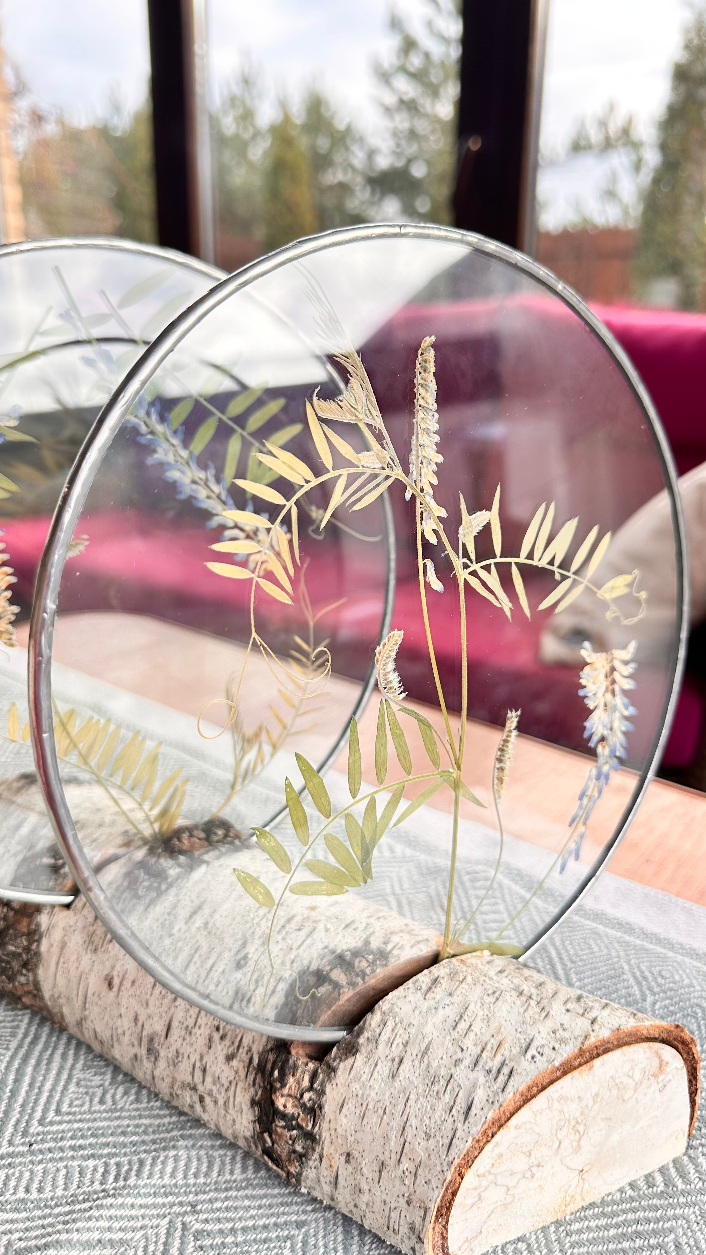 Гербарий в стекле с сухоцветами (витраж в технике тиффани). Гербарий в стекле, интерьерные панно, витражи с сухоцветами в технике тиффани