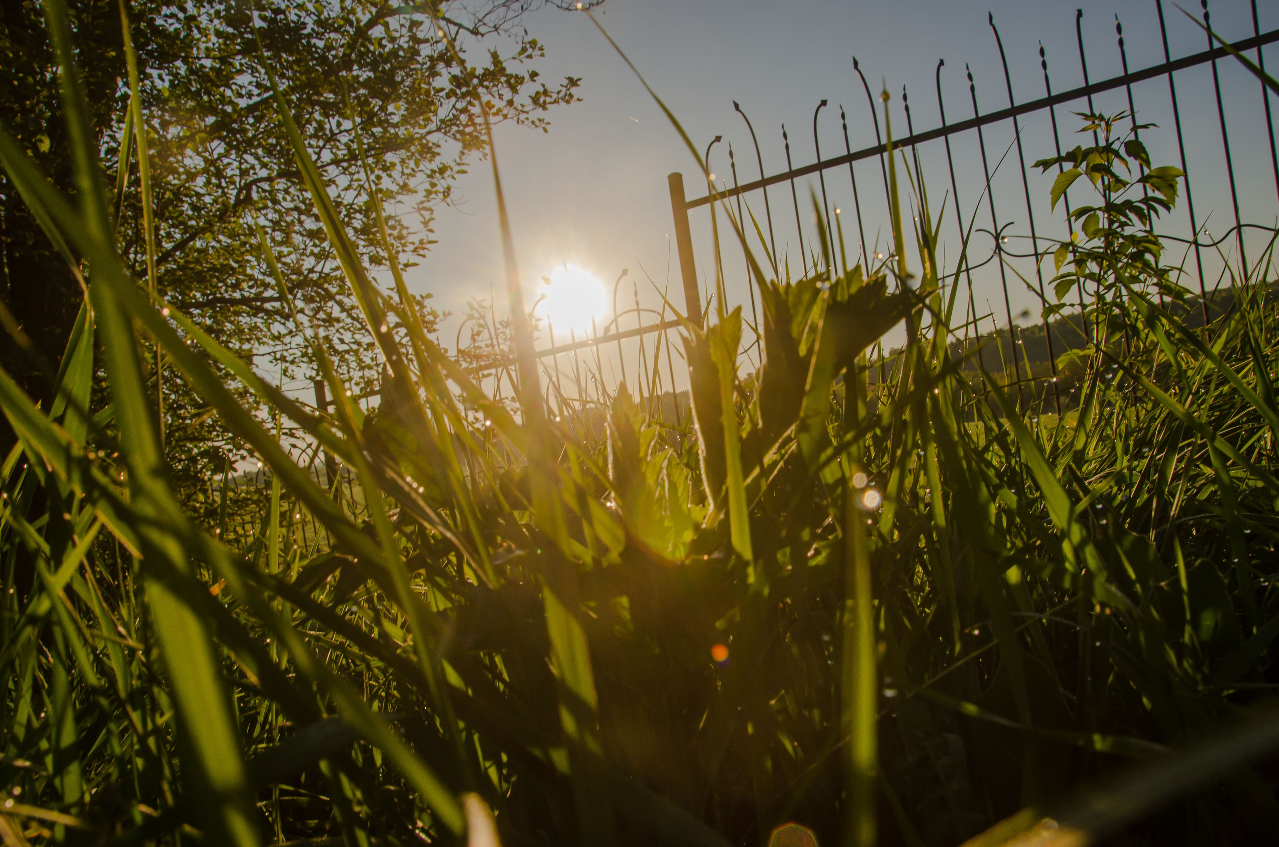 Мотофестивали. Фотограф в Москве