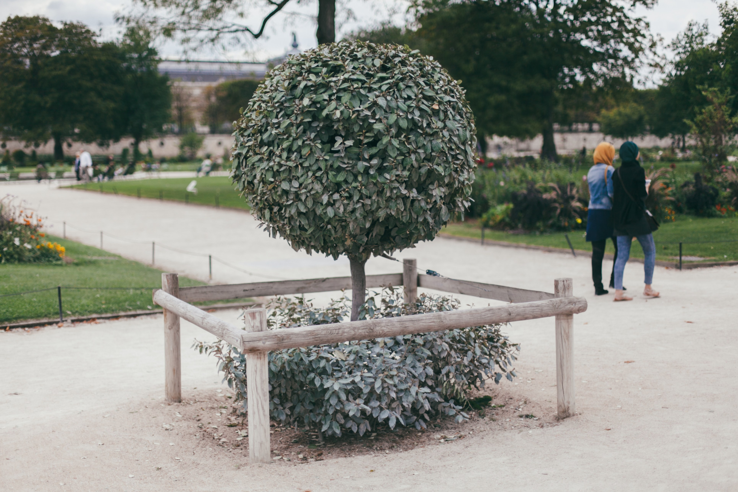 Париж. Аня Степанова