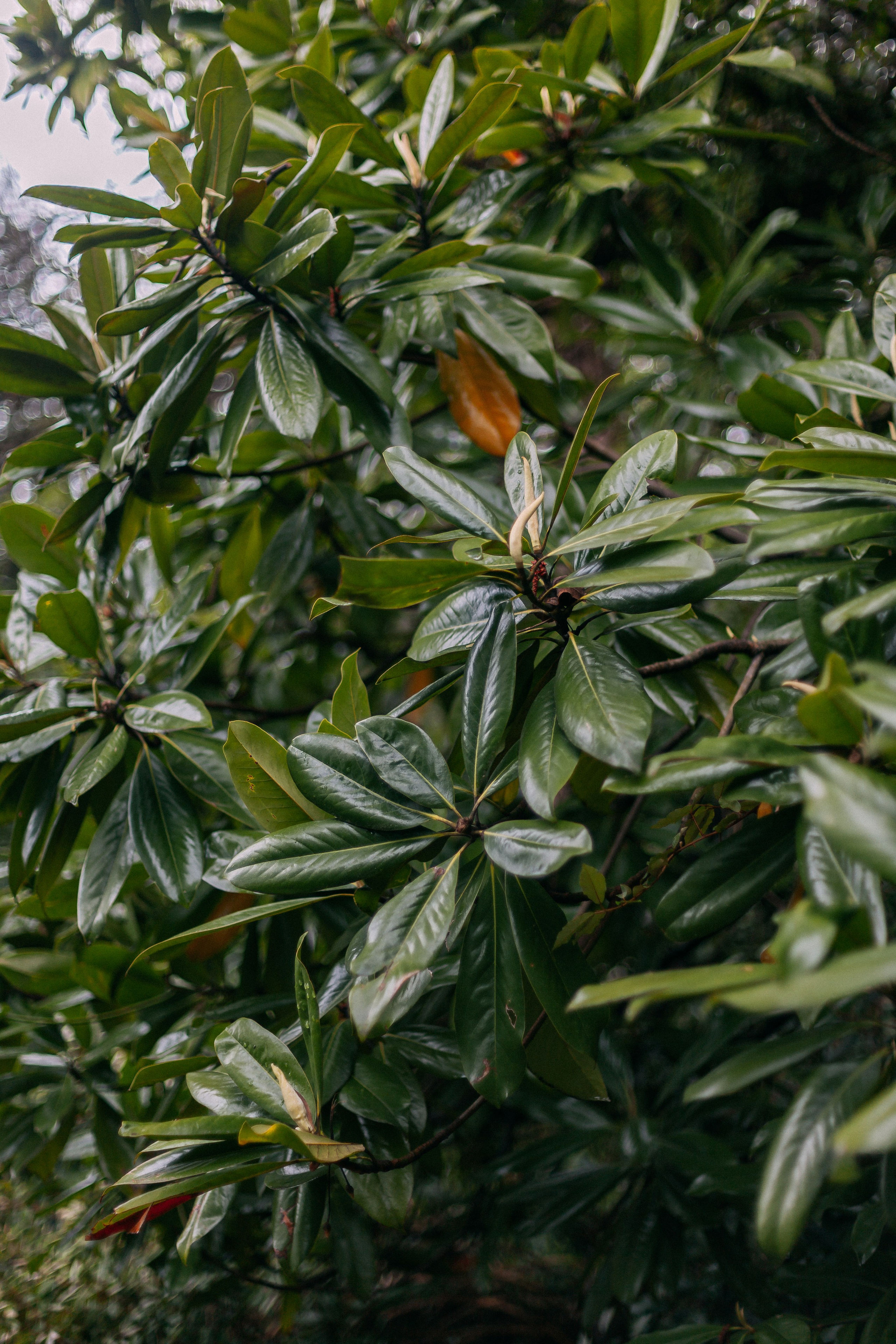 Сочи. Аня Степанова