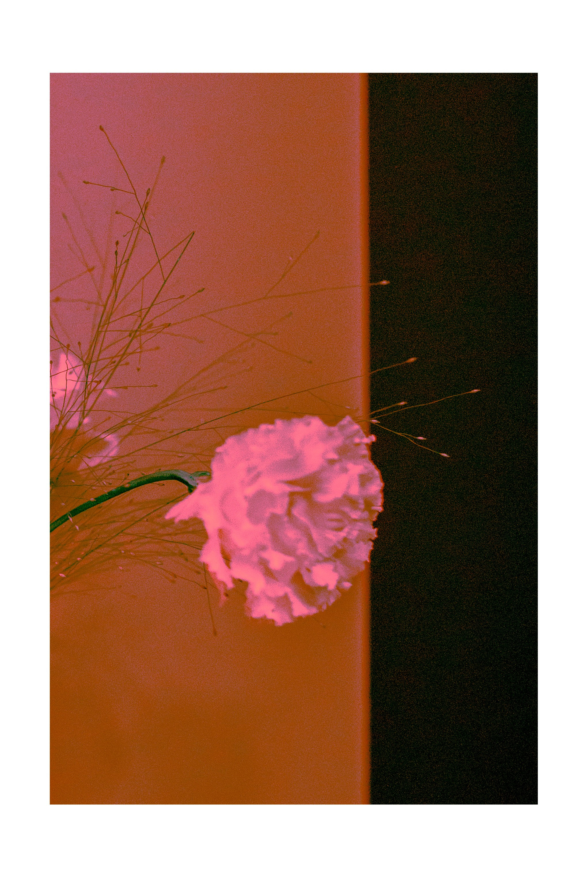 Девичник. Ольга Пилант. АРТ, бэкстейдж, свадебная и семейная фотография, городской портрет, интерьерная фотография