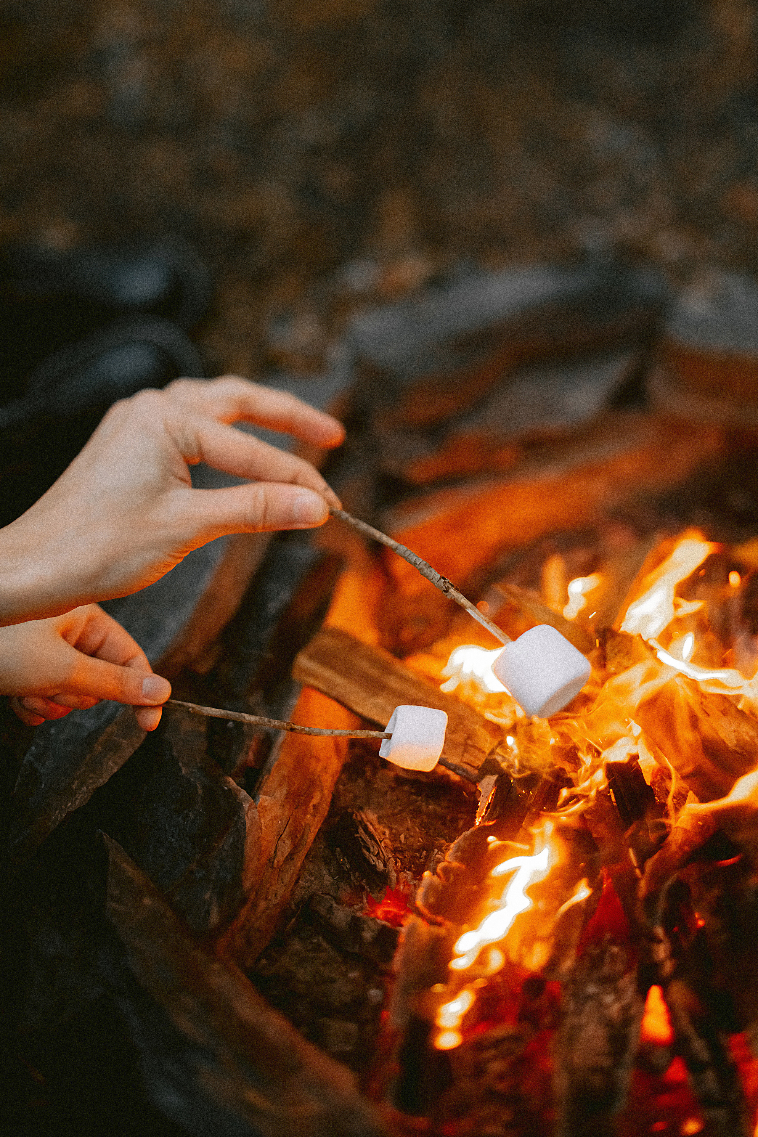 Домик в лесу. Фотограф в Красноярске Гетманова Мила