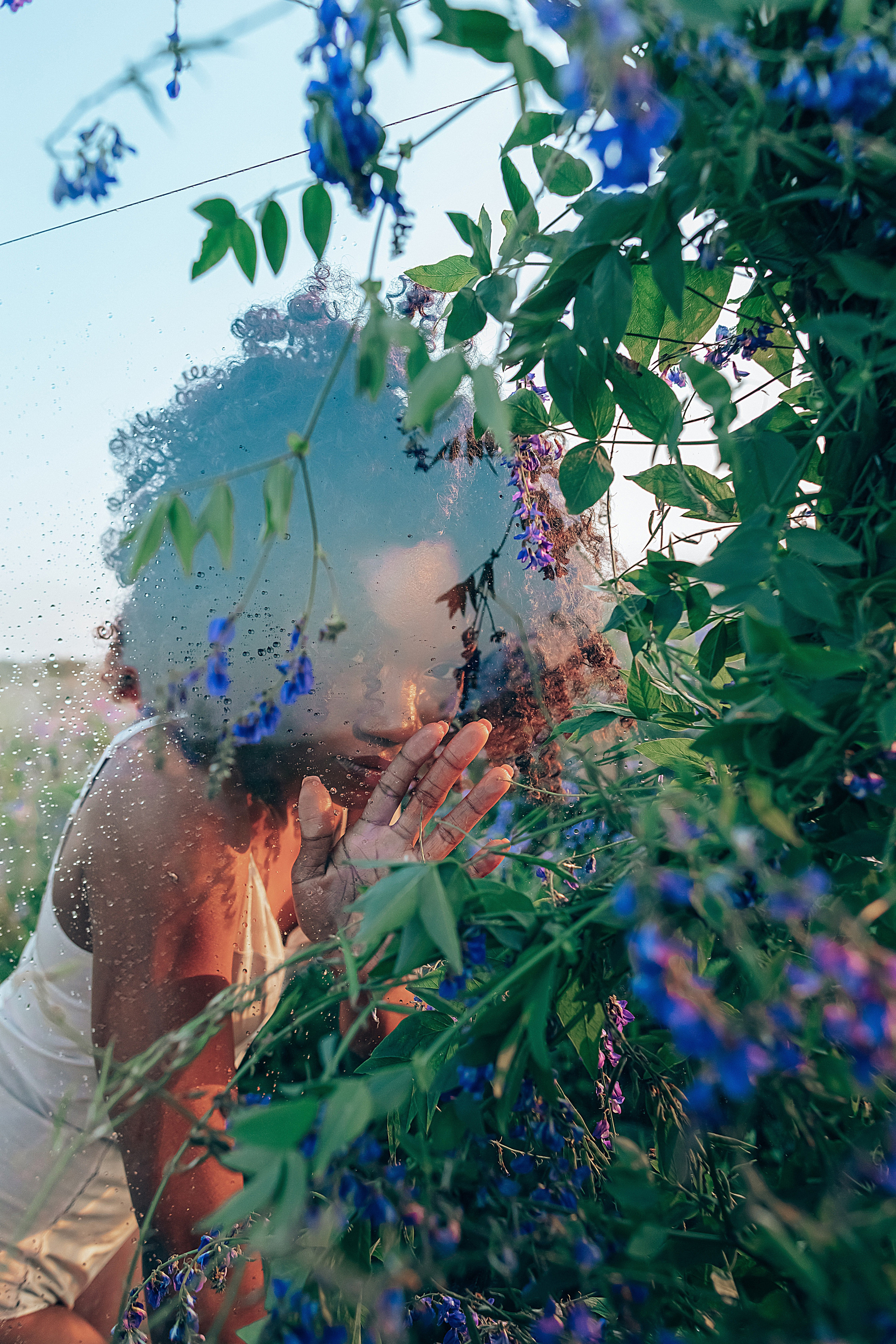 Иван-чай. Фотограф в Красноярске Гетманова Мила