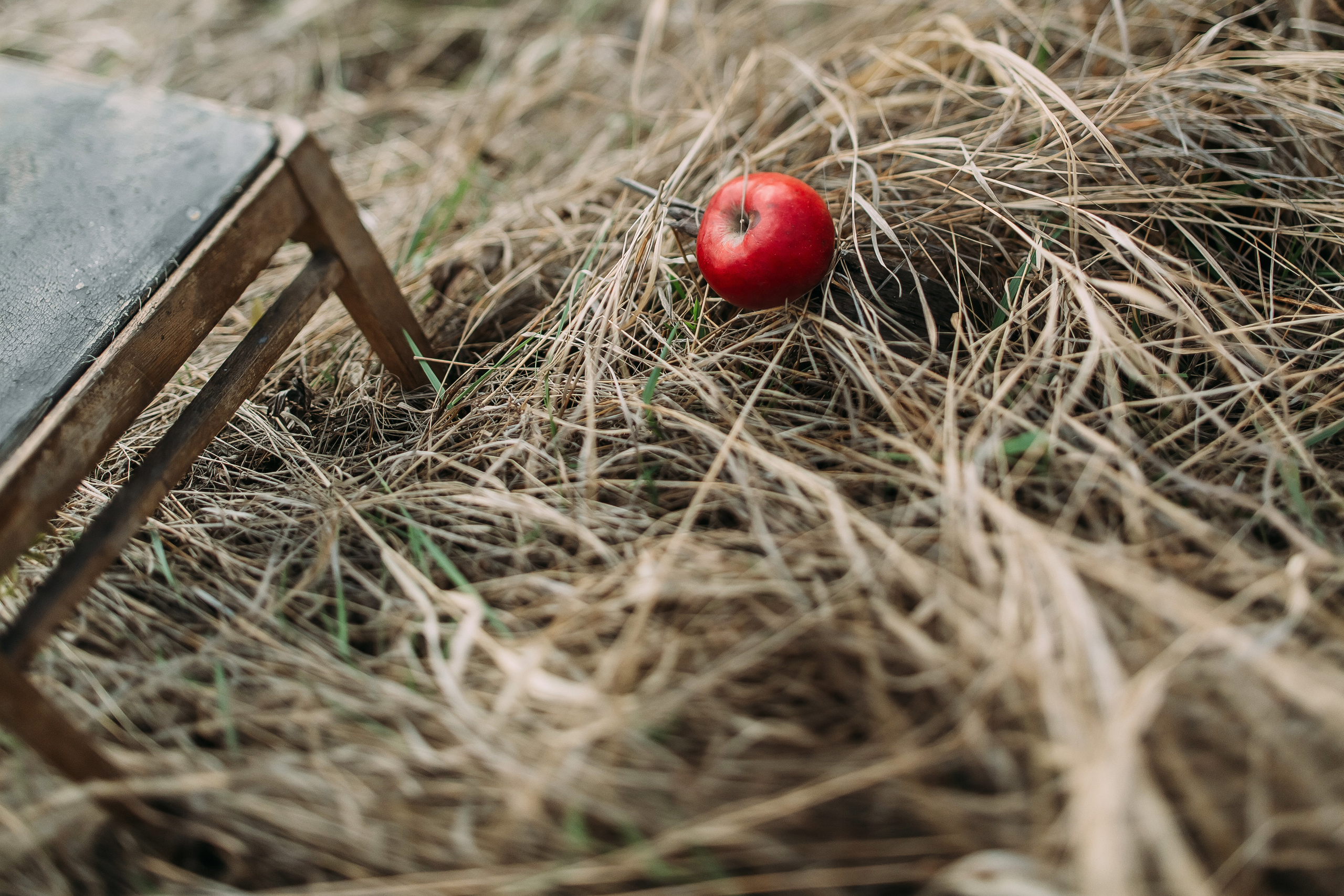 Том Сойер. Фотограф в Красноярске Гетманова Мила