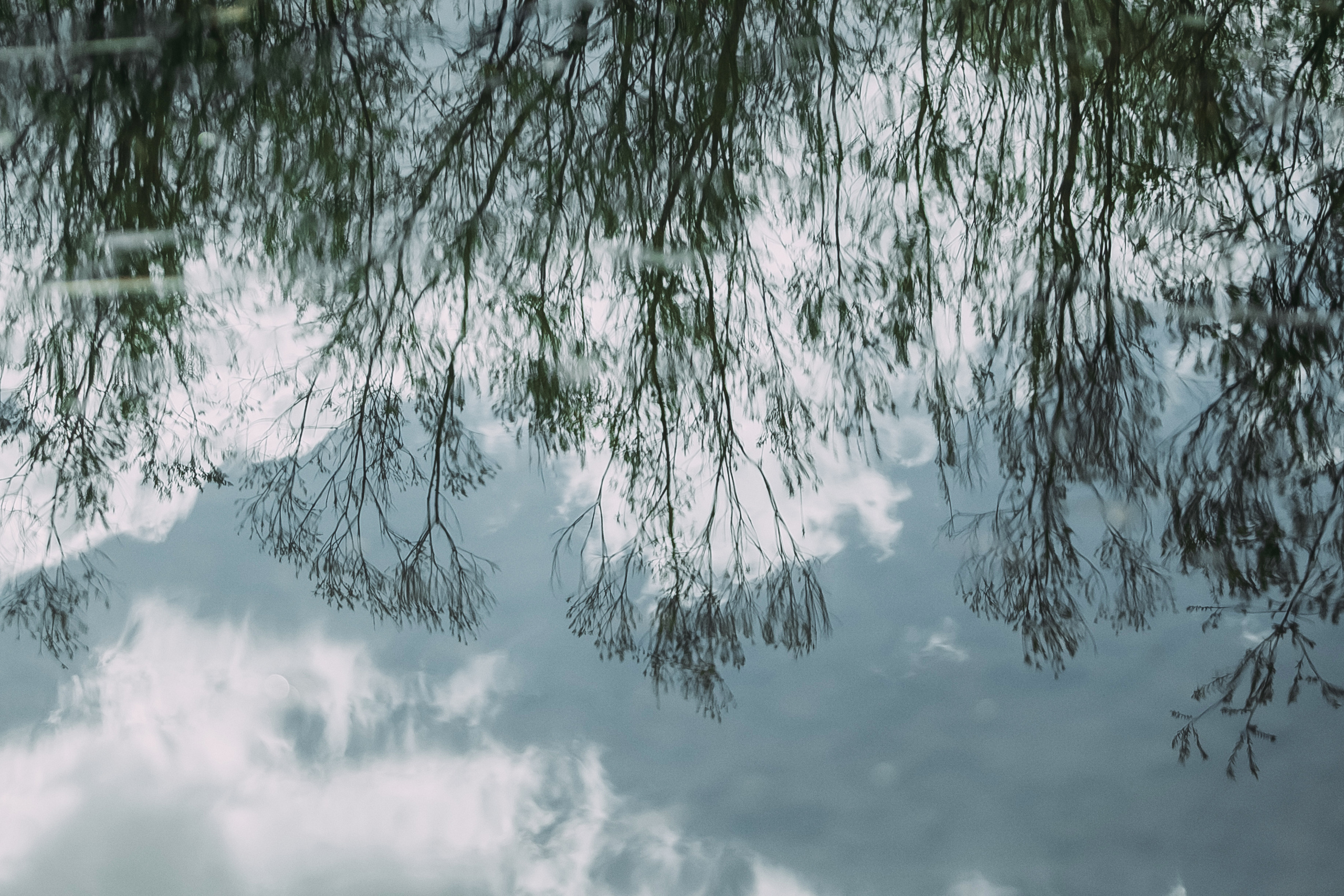 Том Сойер. Фотограф в Красноярске Гетманова Мила