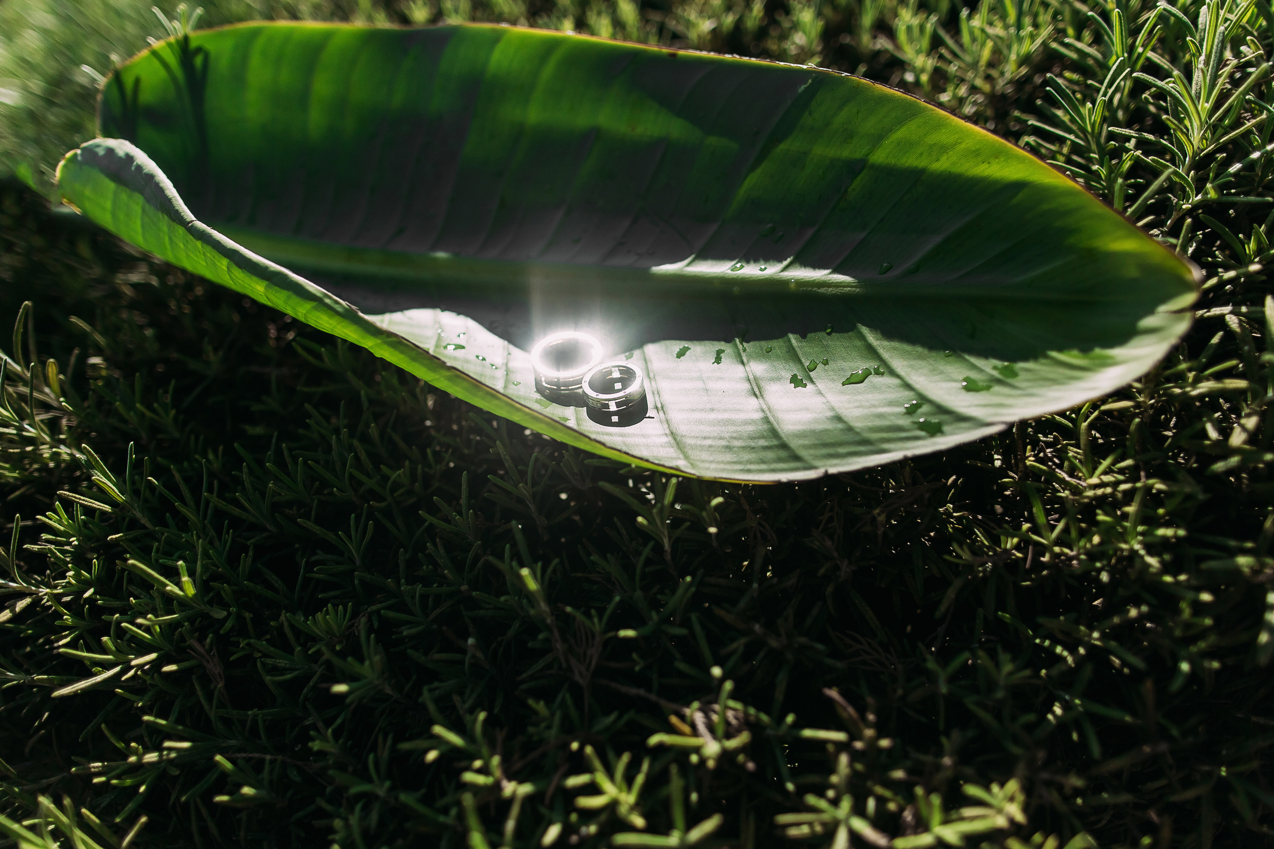 Катерина+Александр. Кипр. Фотограф в Красноярске Гетманова Мила