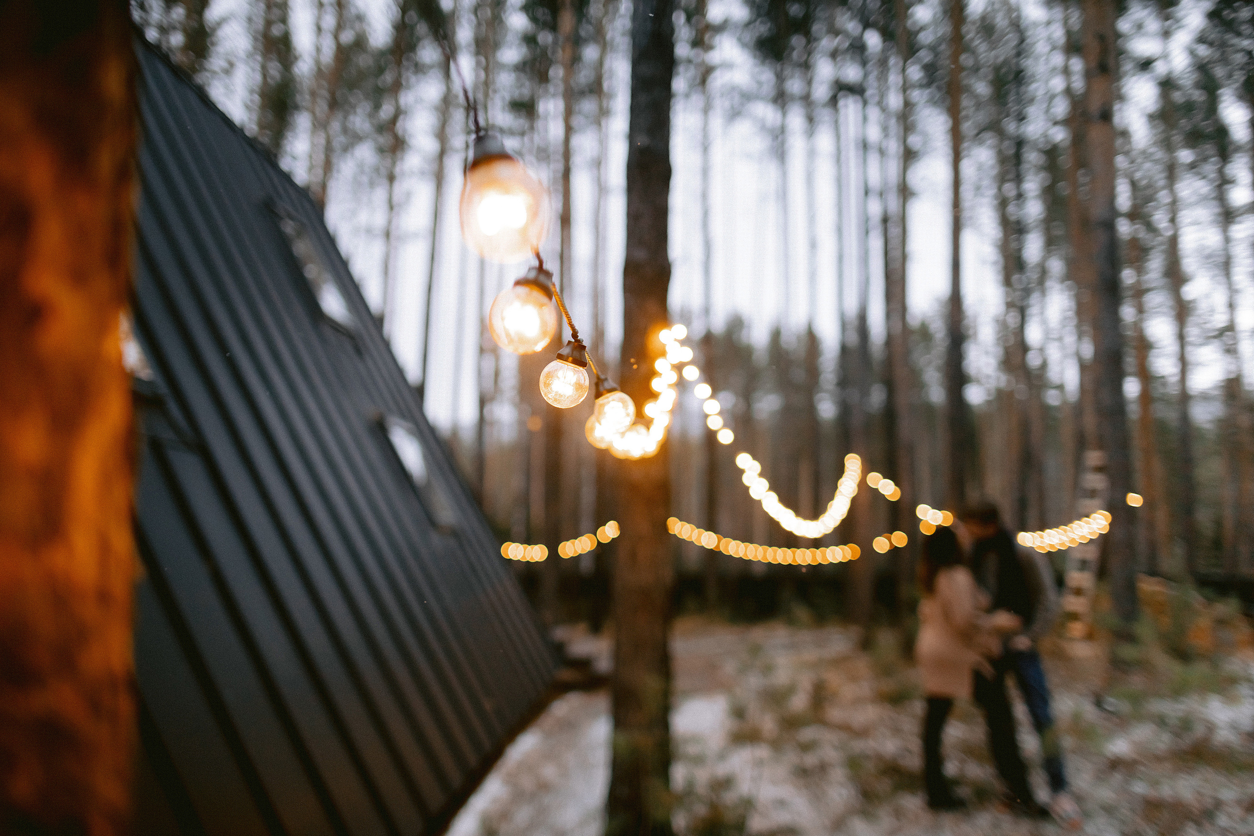 Домик в лесу. Фотограф в Красноярске Гетманова Мила