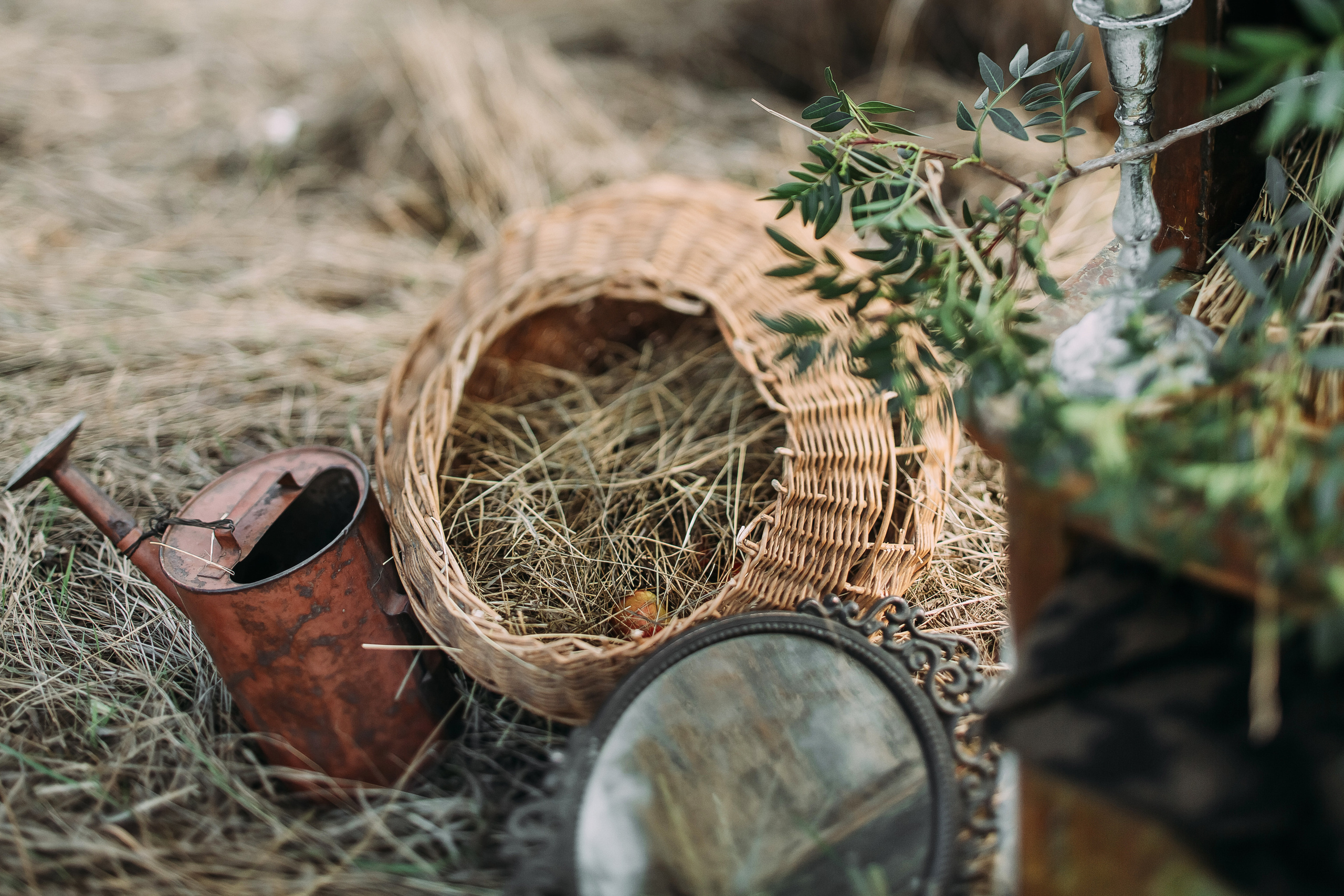 Том Сойер. Фотограф в Красноярске Гетманова Мила