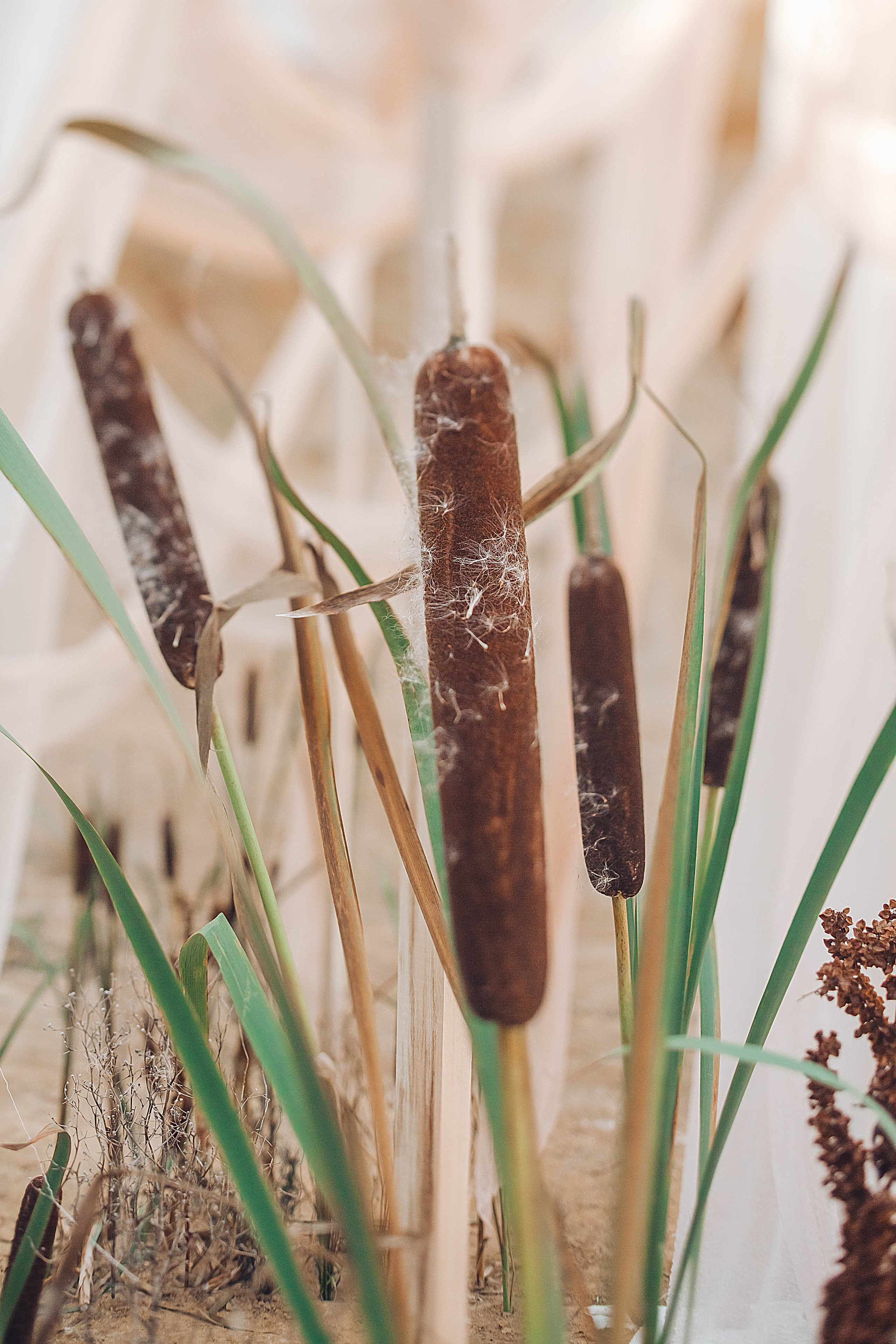 Бохо. Фотограф в Красноярске Гетманова Мила