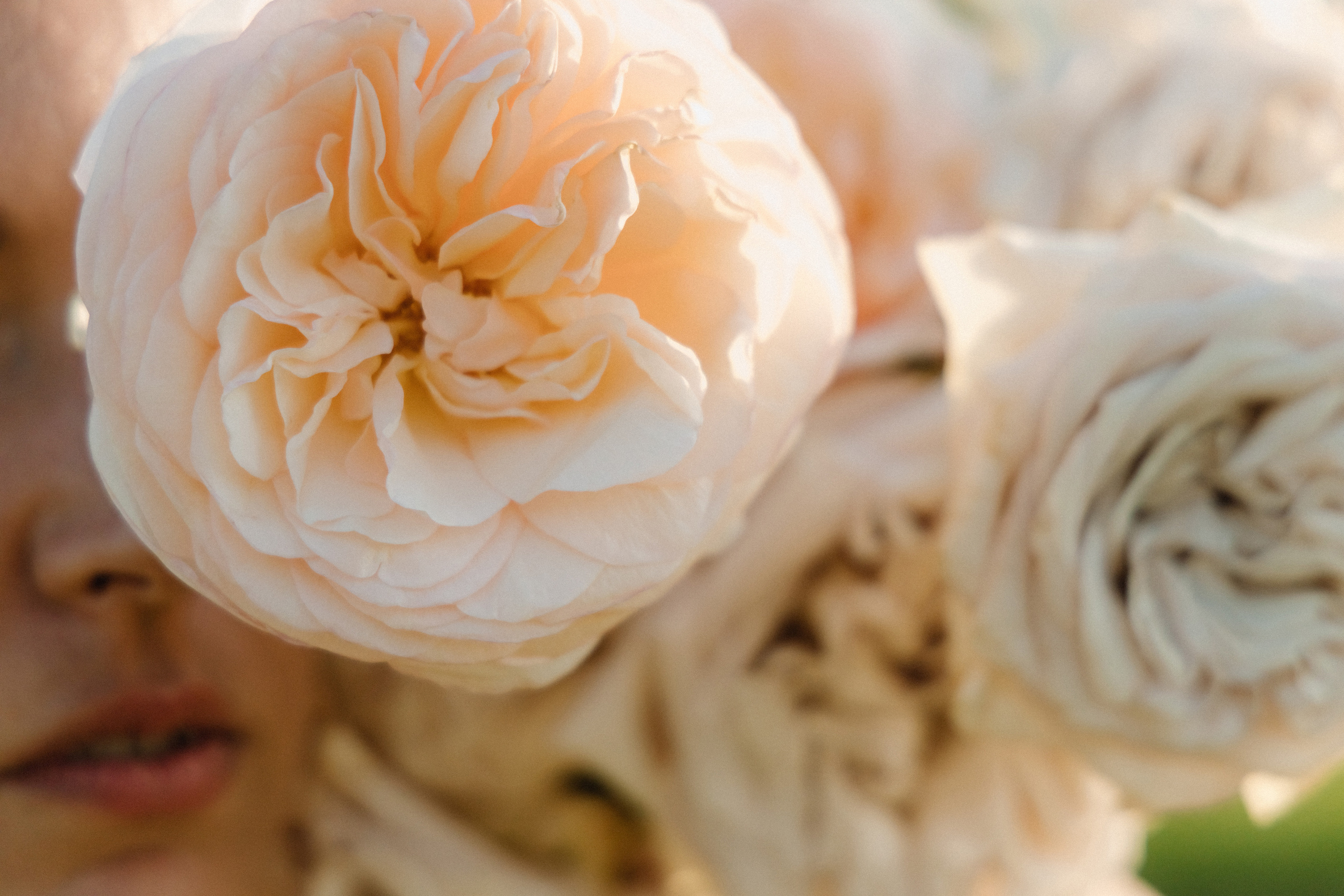 Татьяна+Иван. Фотограф в Красноярске Гетманова Мила