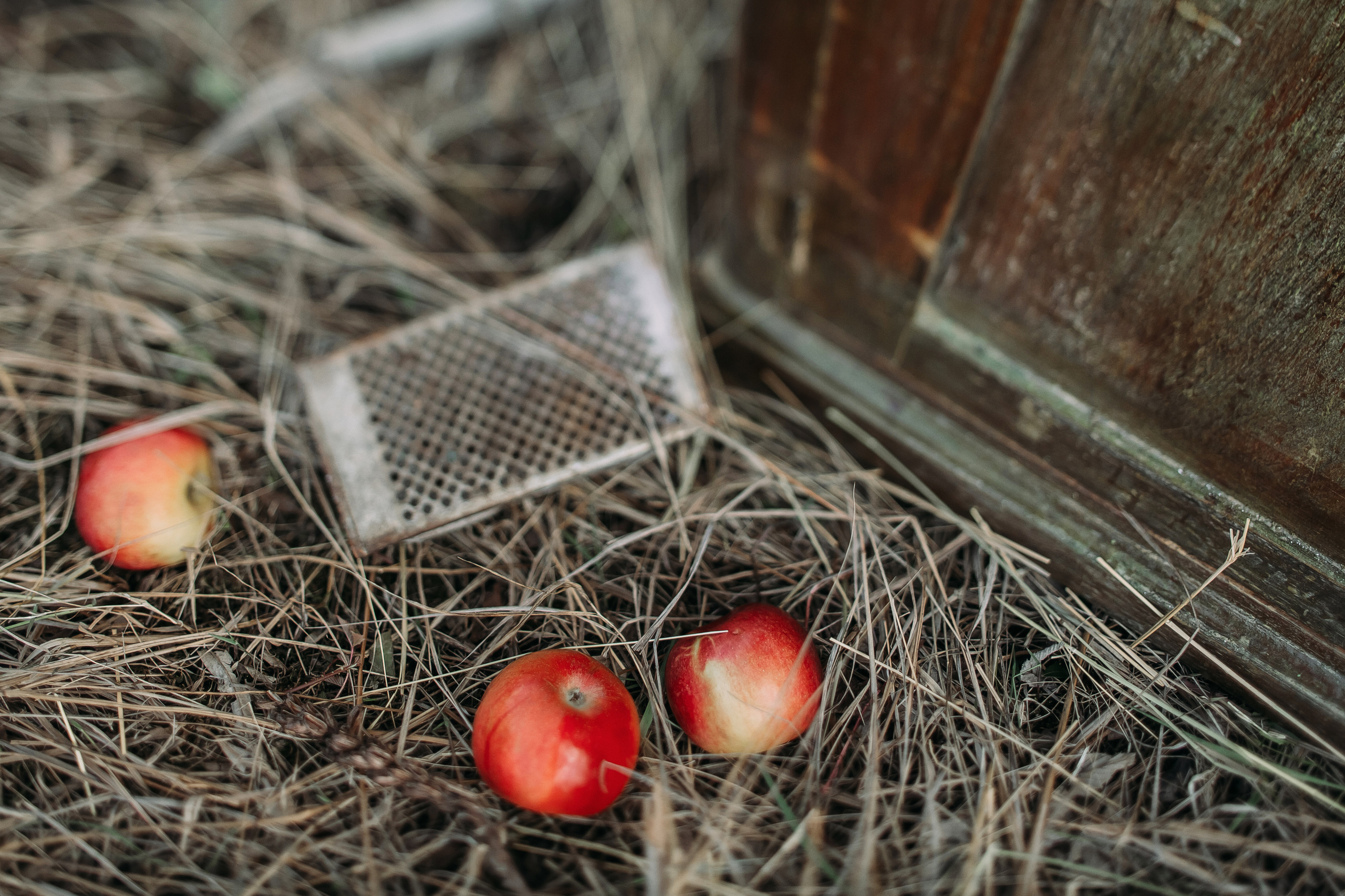 Том Сойер. Фотограф в Красноярске Гетманова Мила